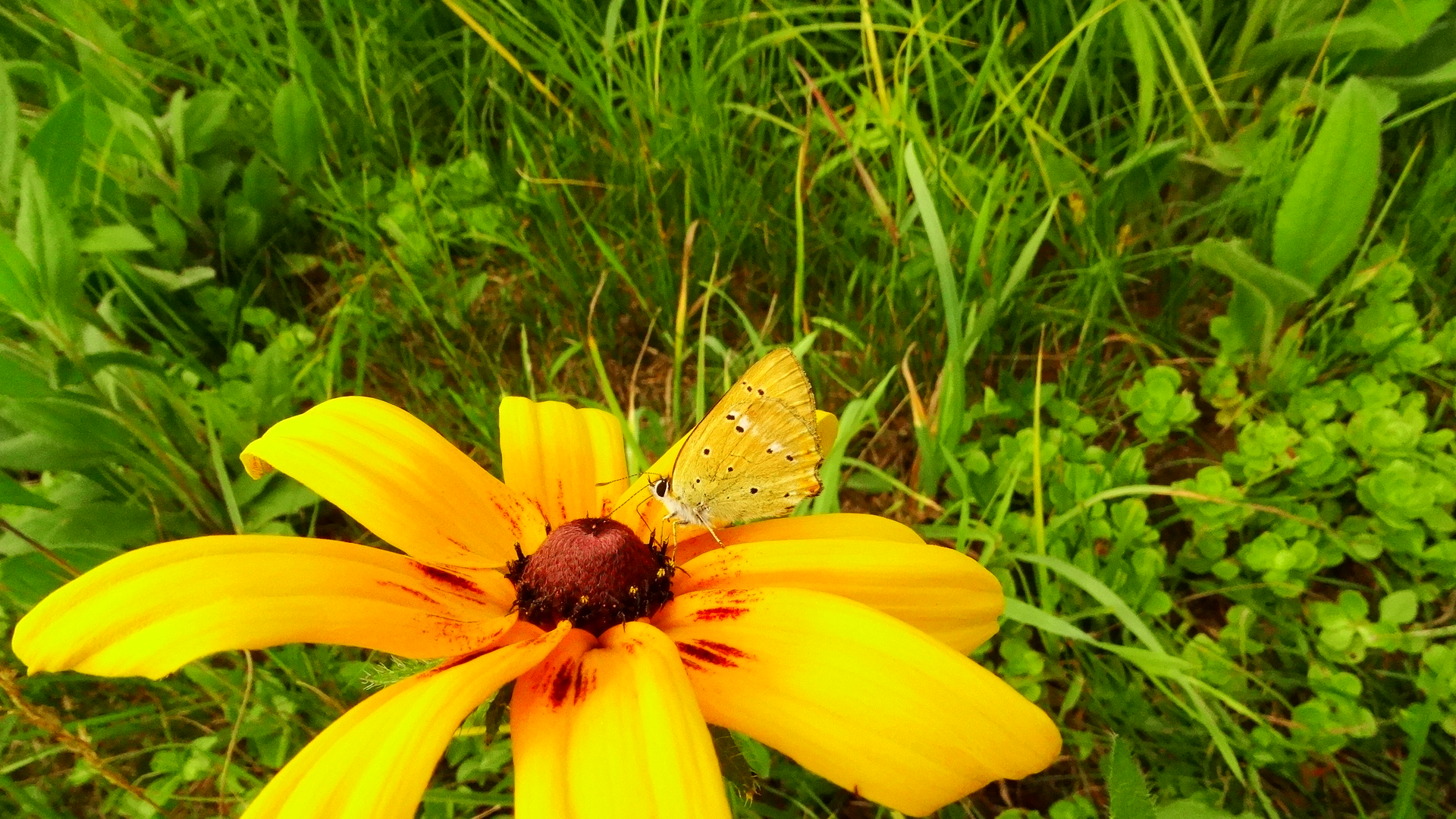 DSC04350.JPG
