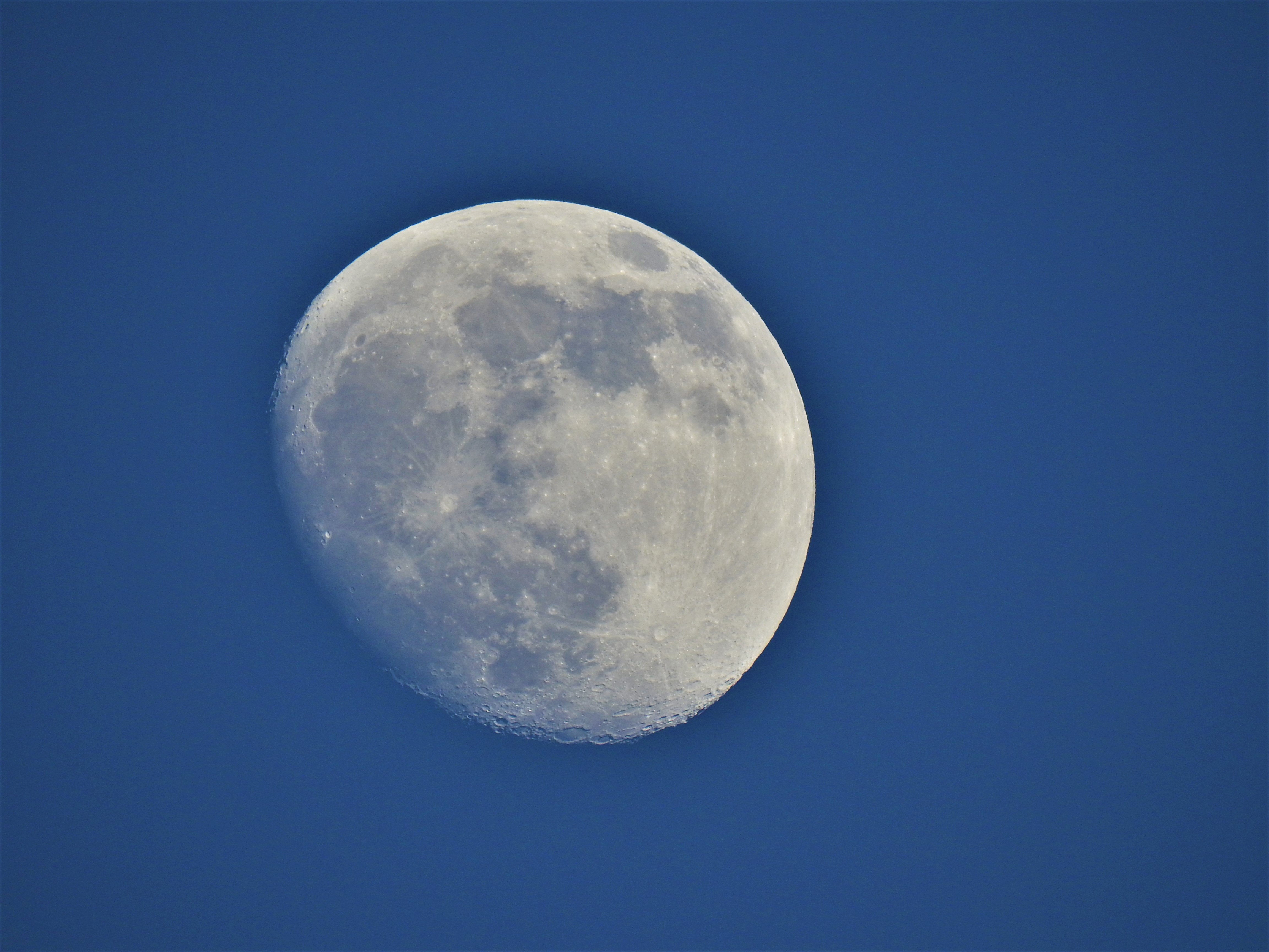 DSCN42112.jpg