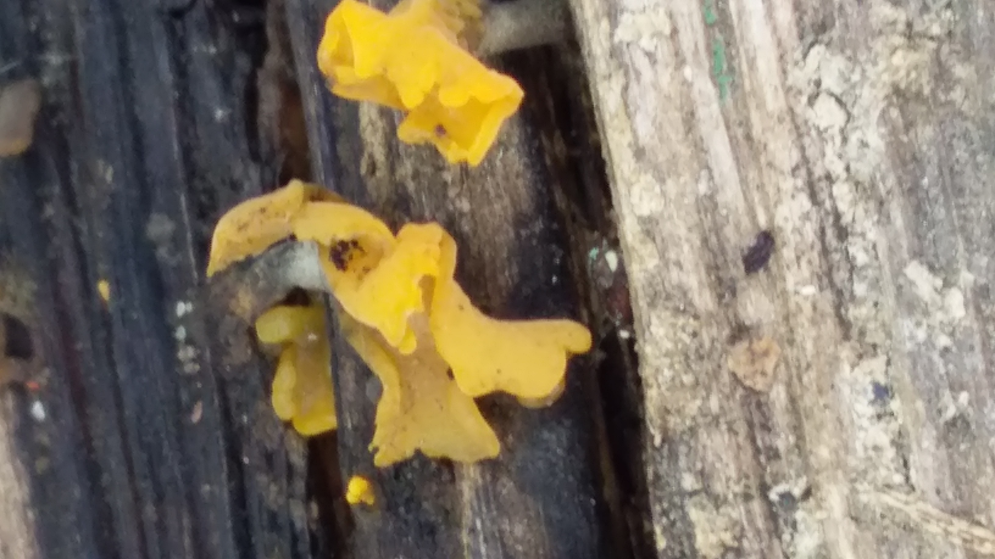 20220216_130111.jpg