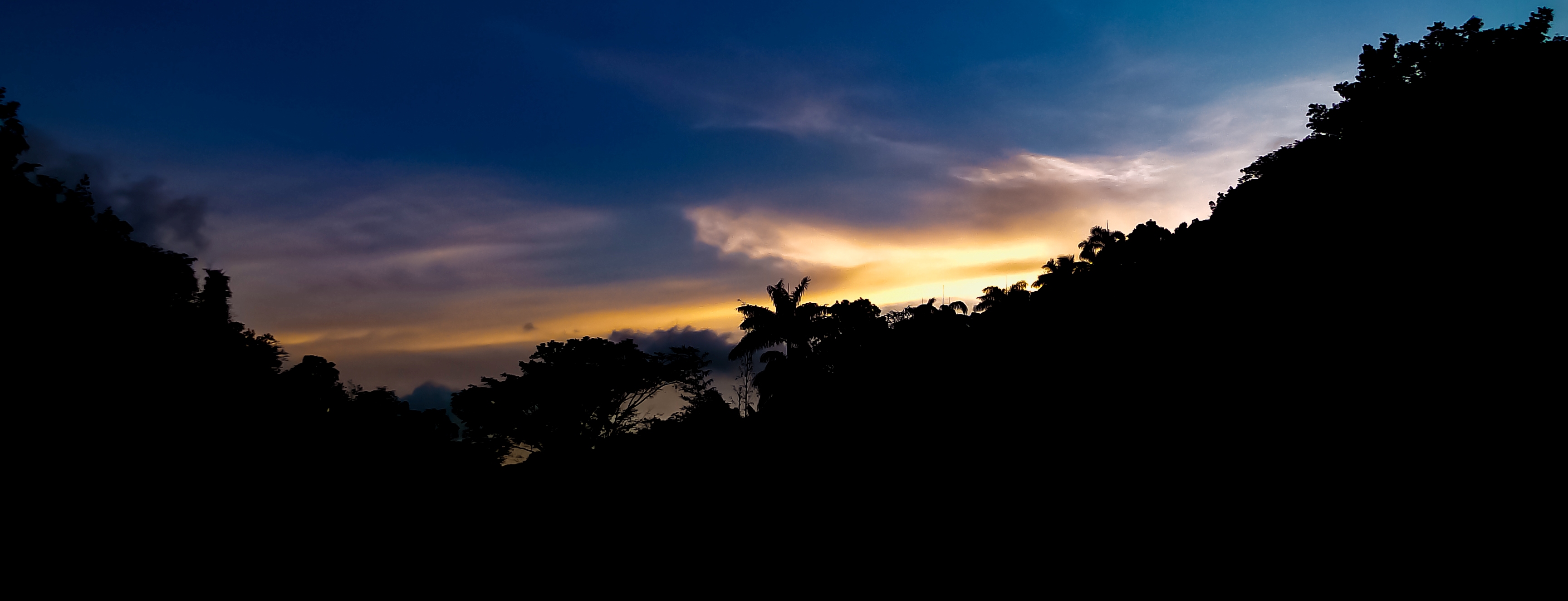DSC07064.jpg