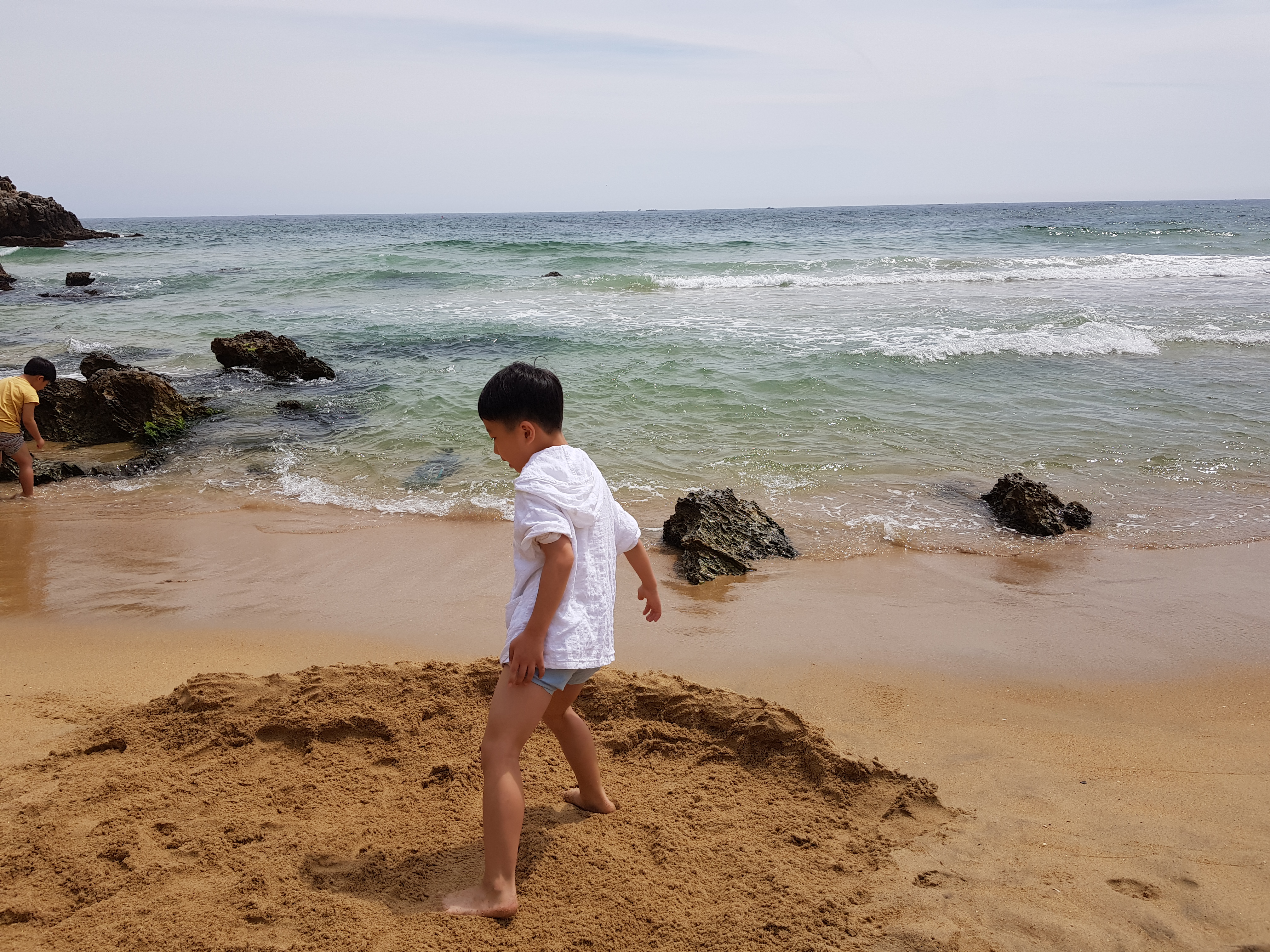 20180617_102216.jpg
