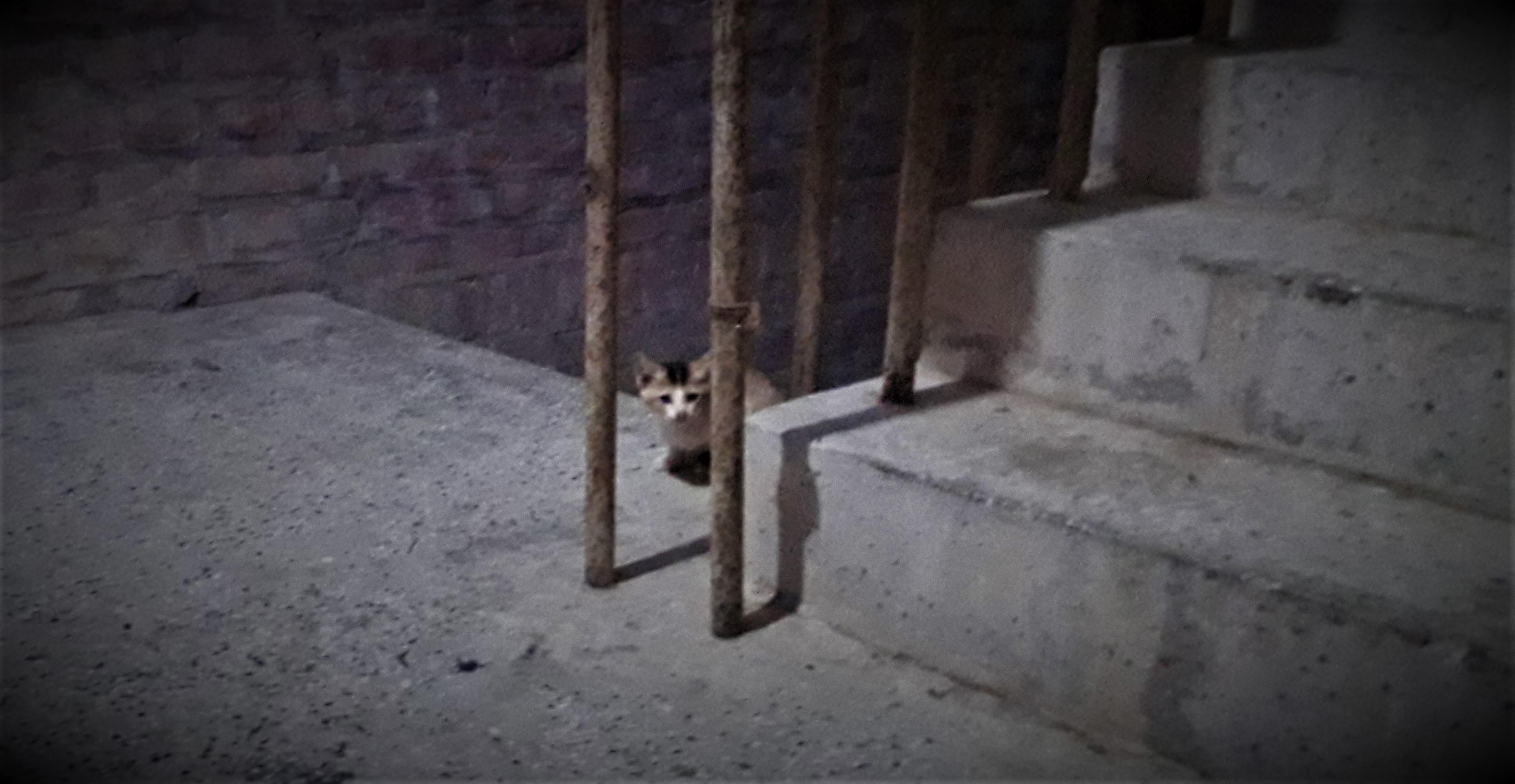 20201004_201517.jpg