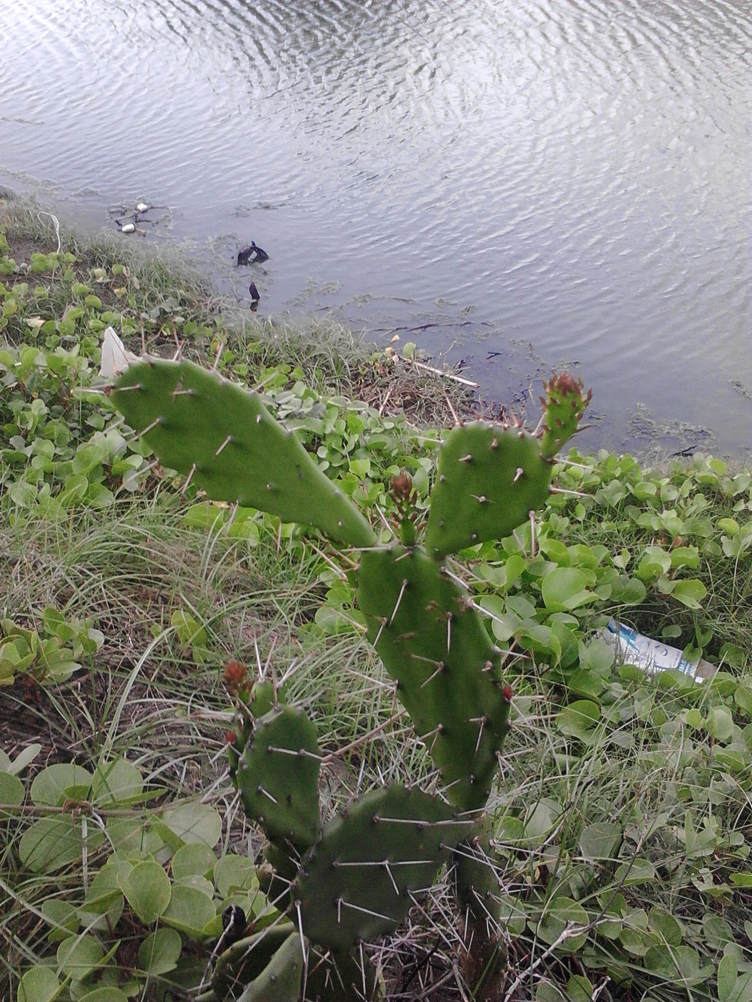 IMG20200516175959.jpg