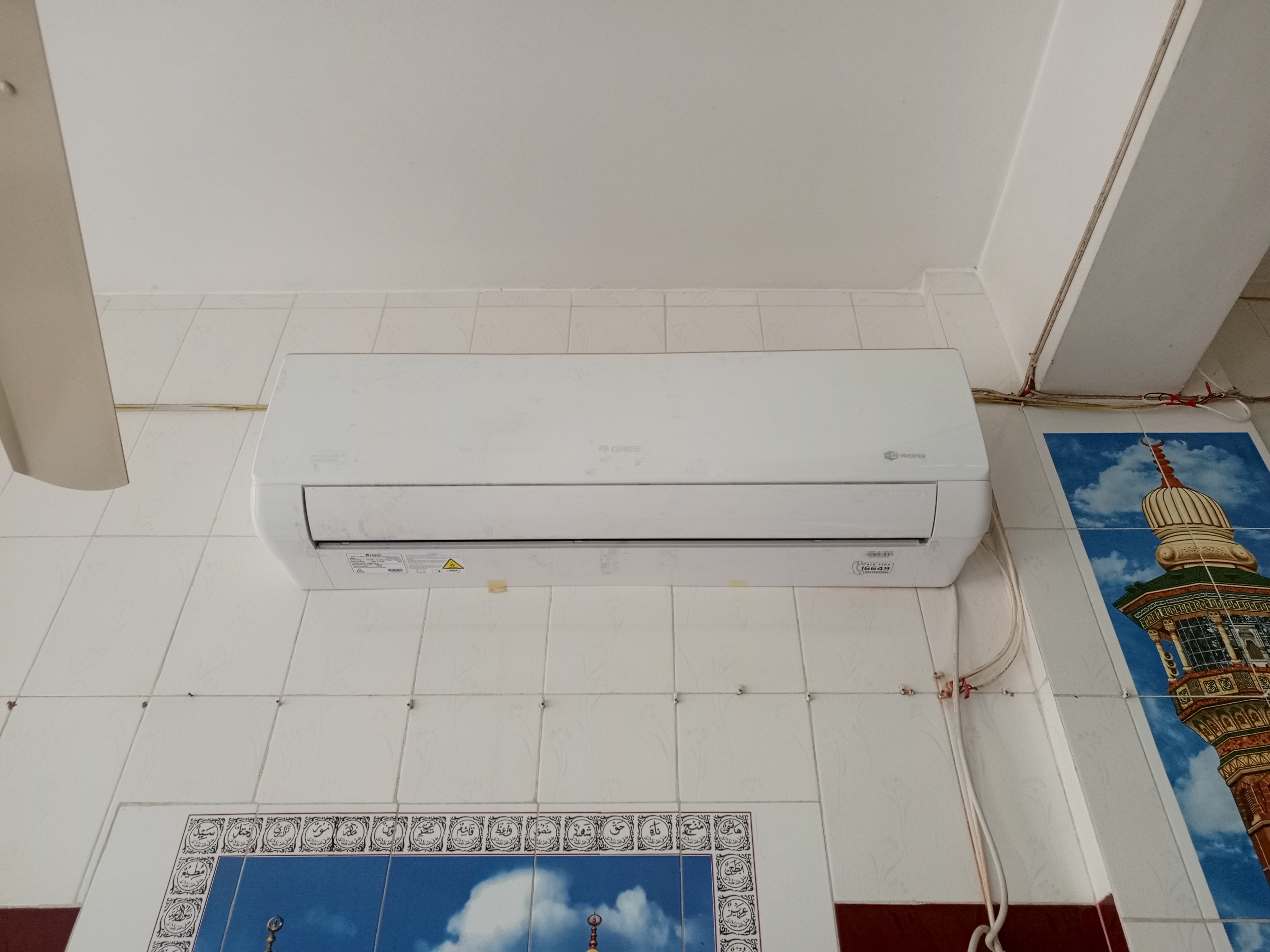 1000559499.jpg