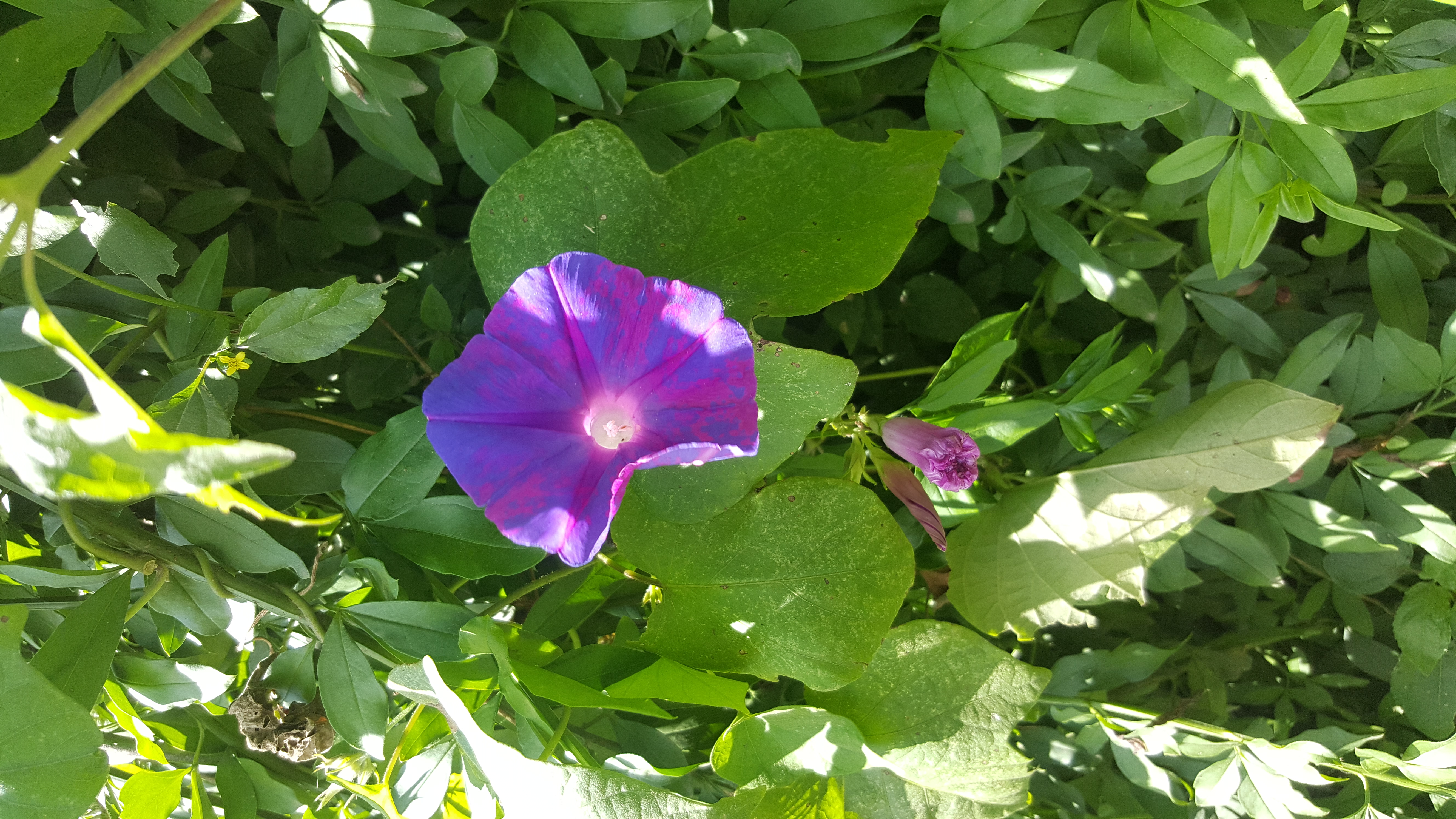 20190317_140048.jpg