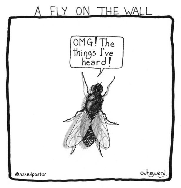 fly-on-wall.jpg