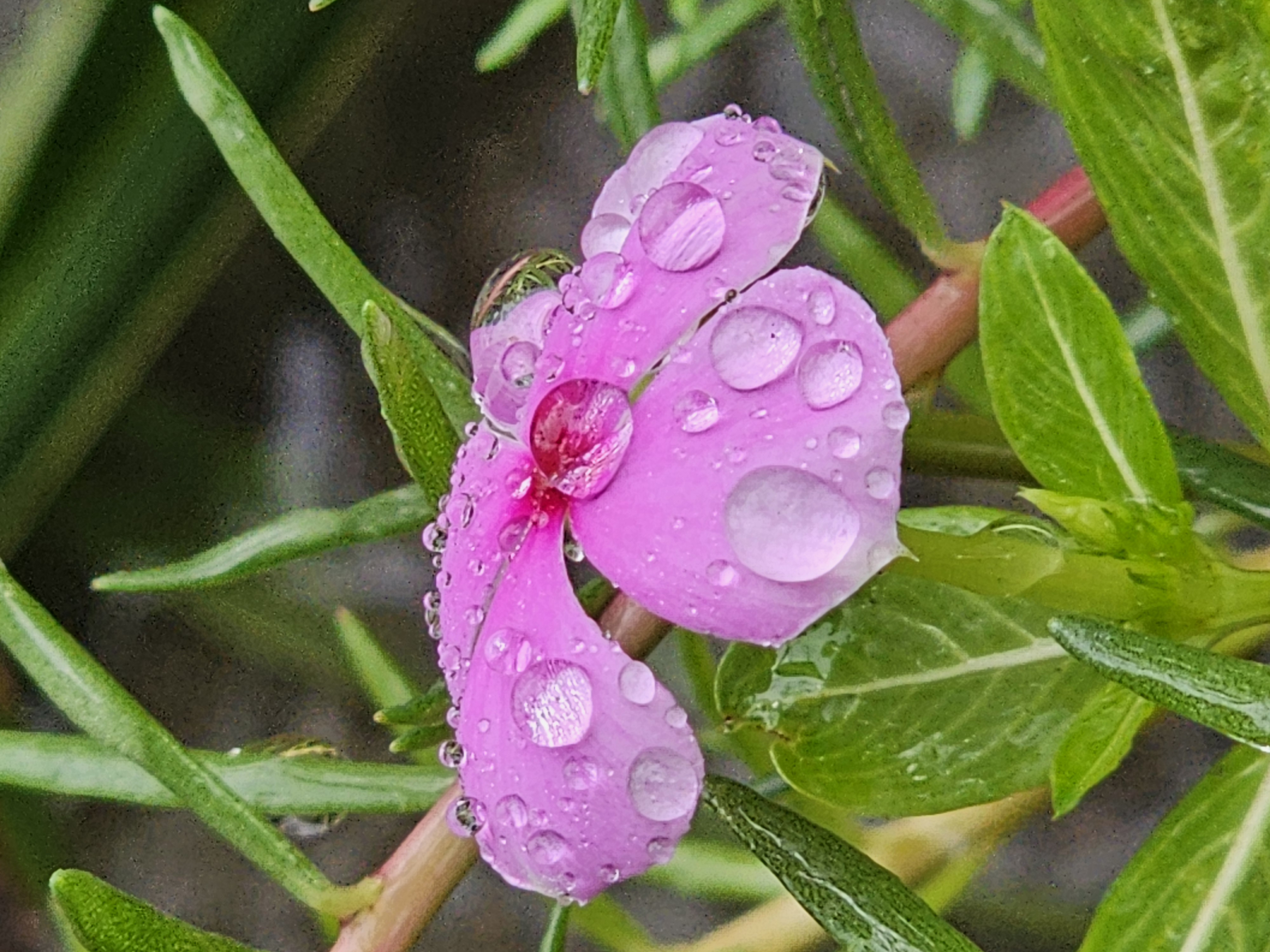 20250602_115957.jpg