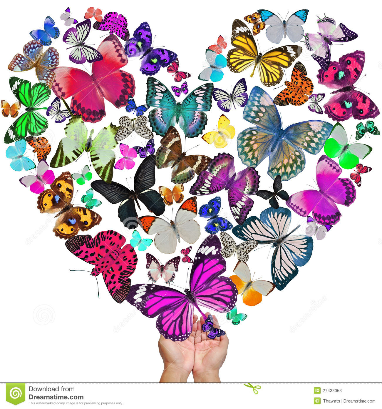 corazón-de-las-mariposas-27433053.jpg