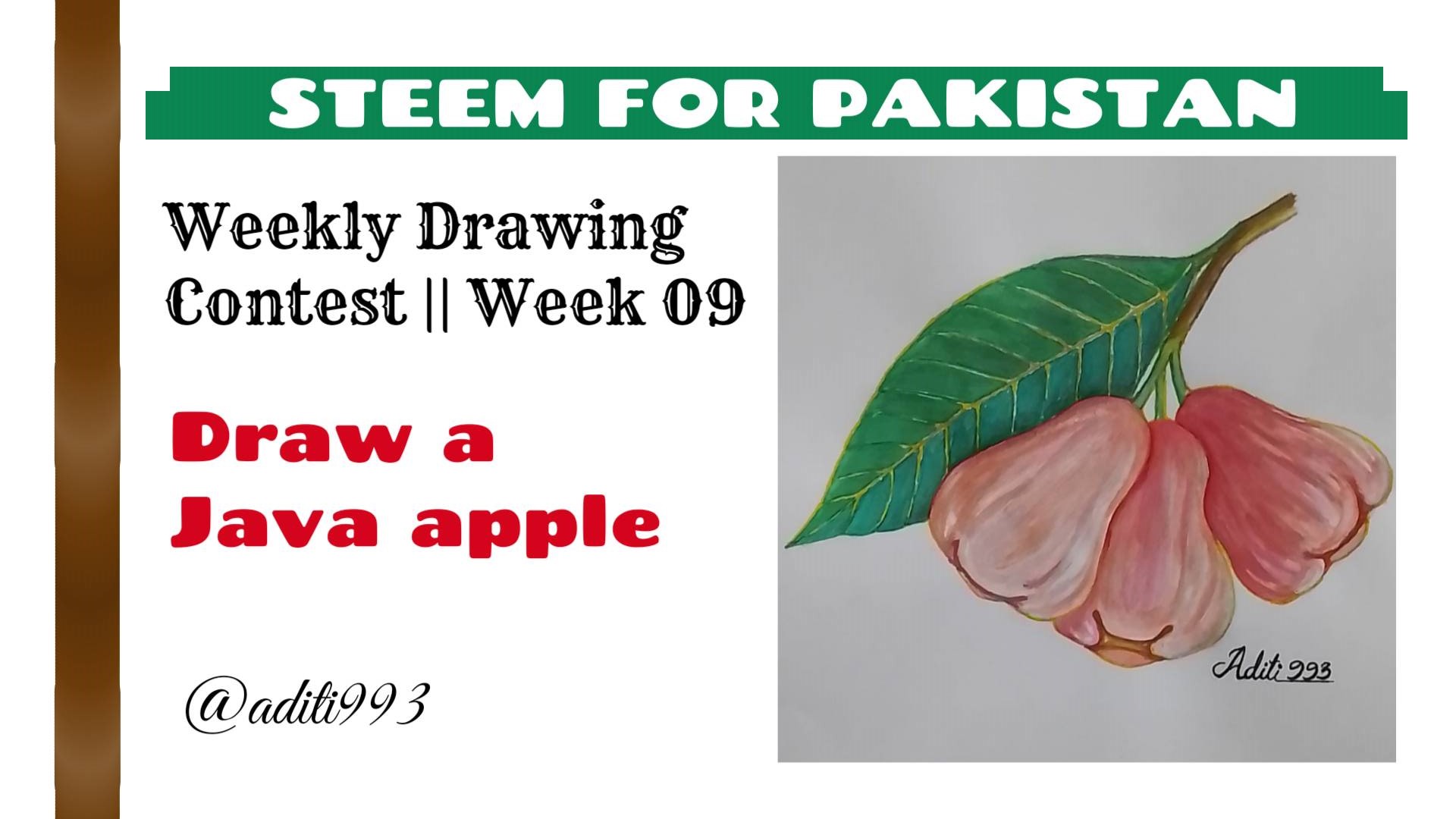 How To Draw A Flower In Java