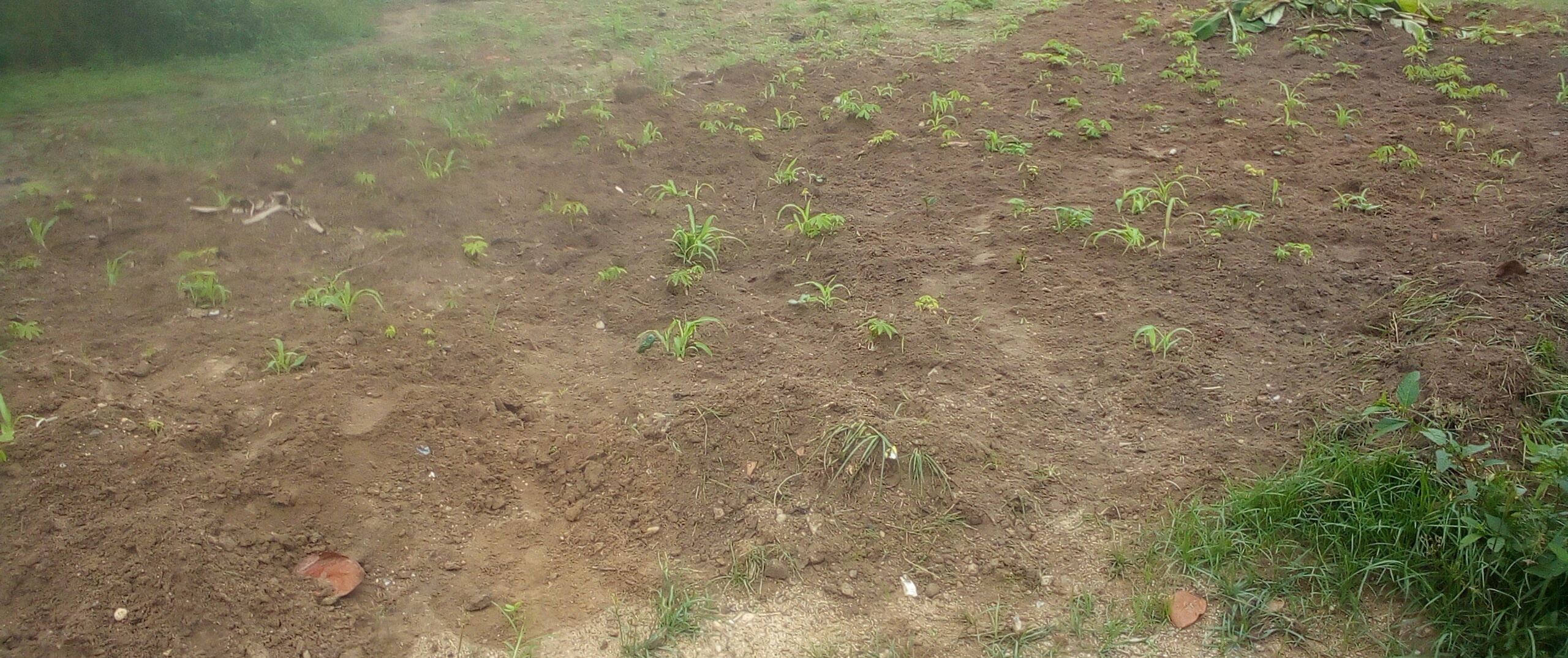 1000030422.jpg