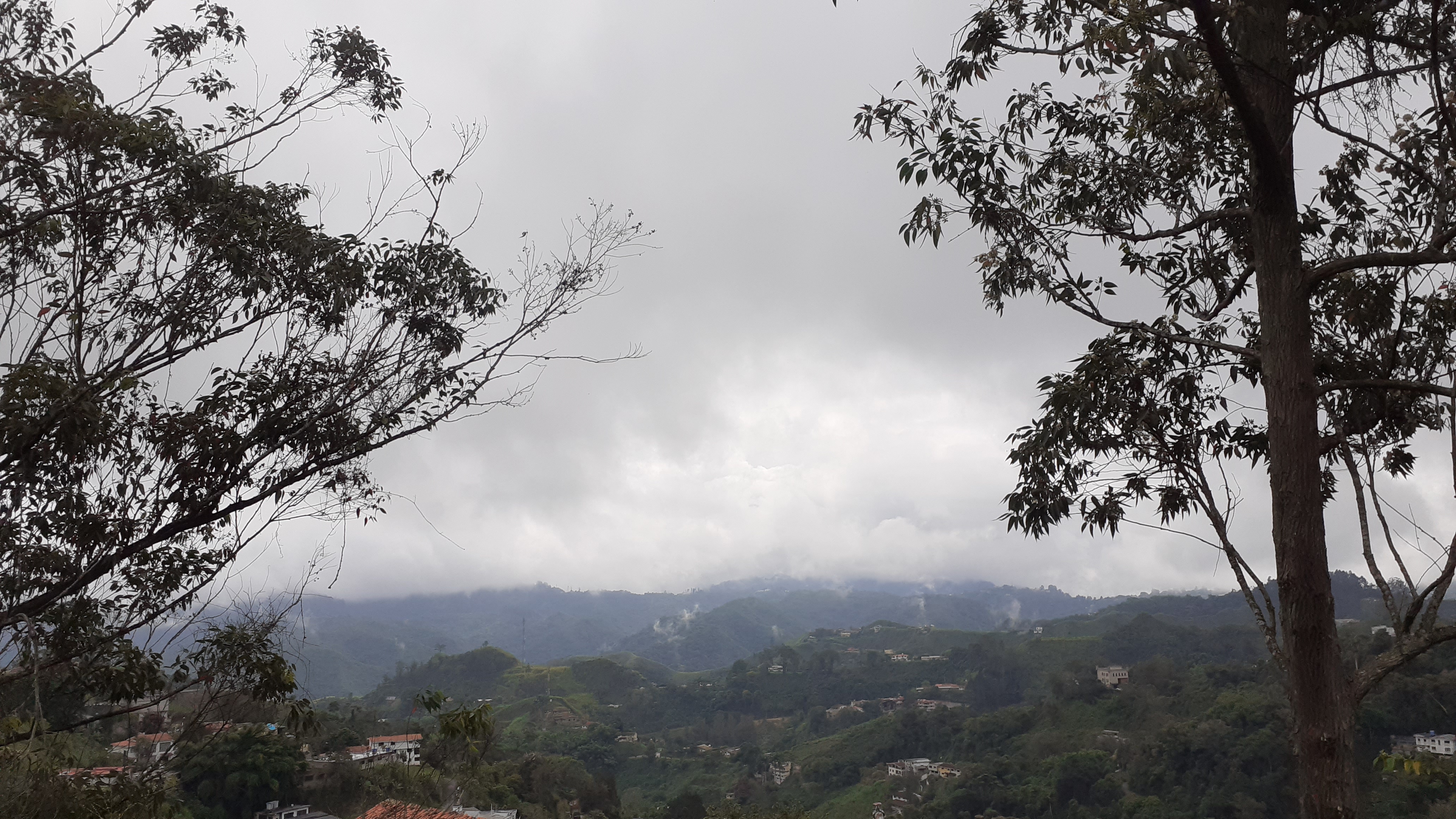 20201101_100439.jpg