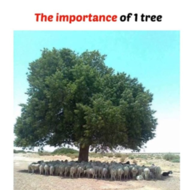 photo 1.PNG