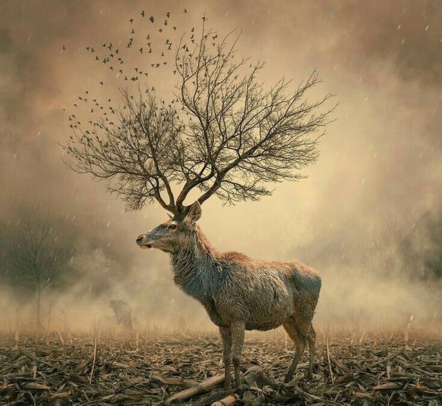 JvFFVmatwWHRfvmtd53nmEJ94xpKydwmbSC5H5svBACH7xqJYRwAty2bMxrp3JrKhYZwatUNm6pNbYKUZyAFB2ToiLsnrSipY9xvxu2qzr2CwhisStrkNu4HKpP9XHJC3o43pgLM4a (1).jpeg