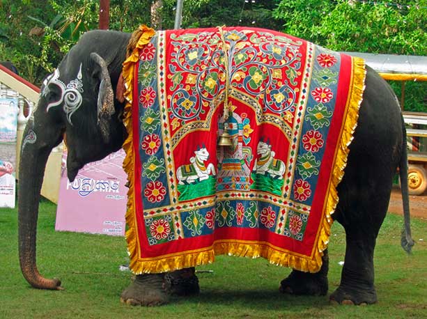 la-cultura-hindu-elefante.jpg