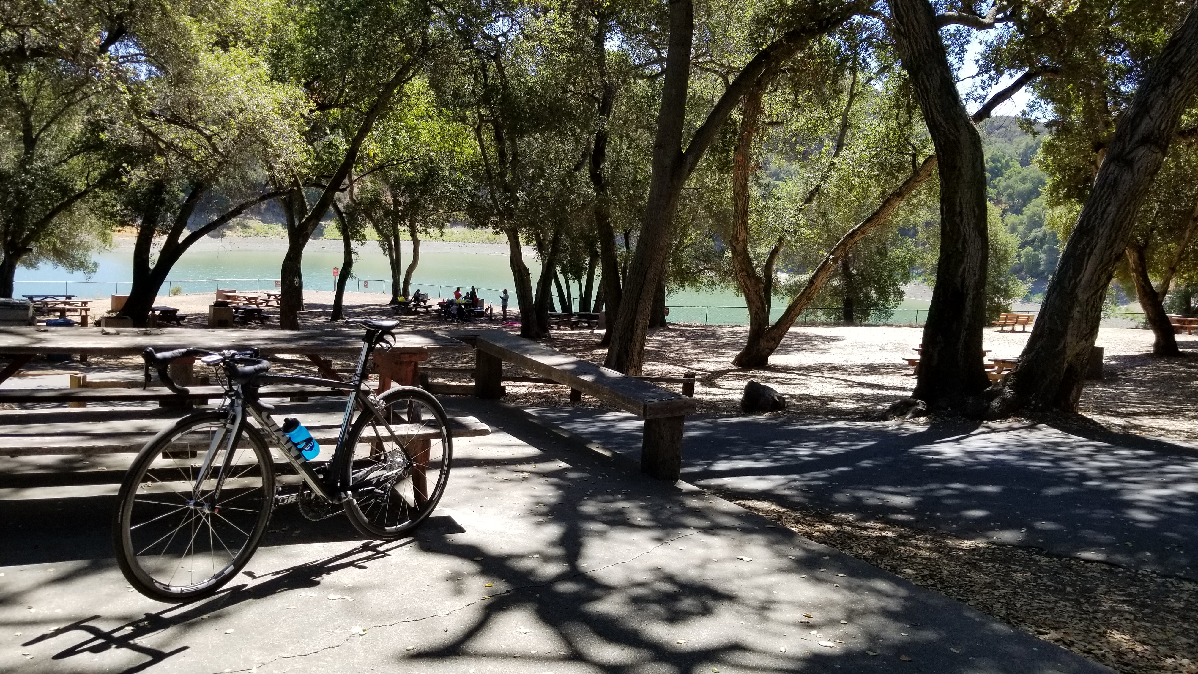 park.jpg