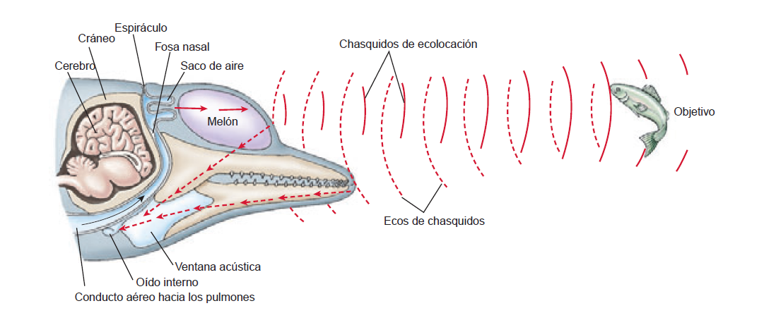 Captura de pantalla (99).png