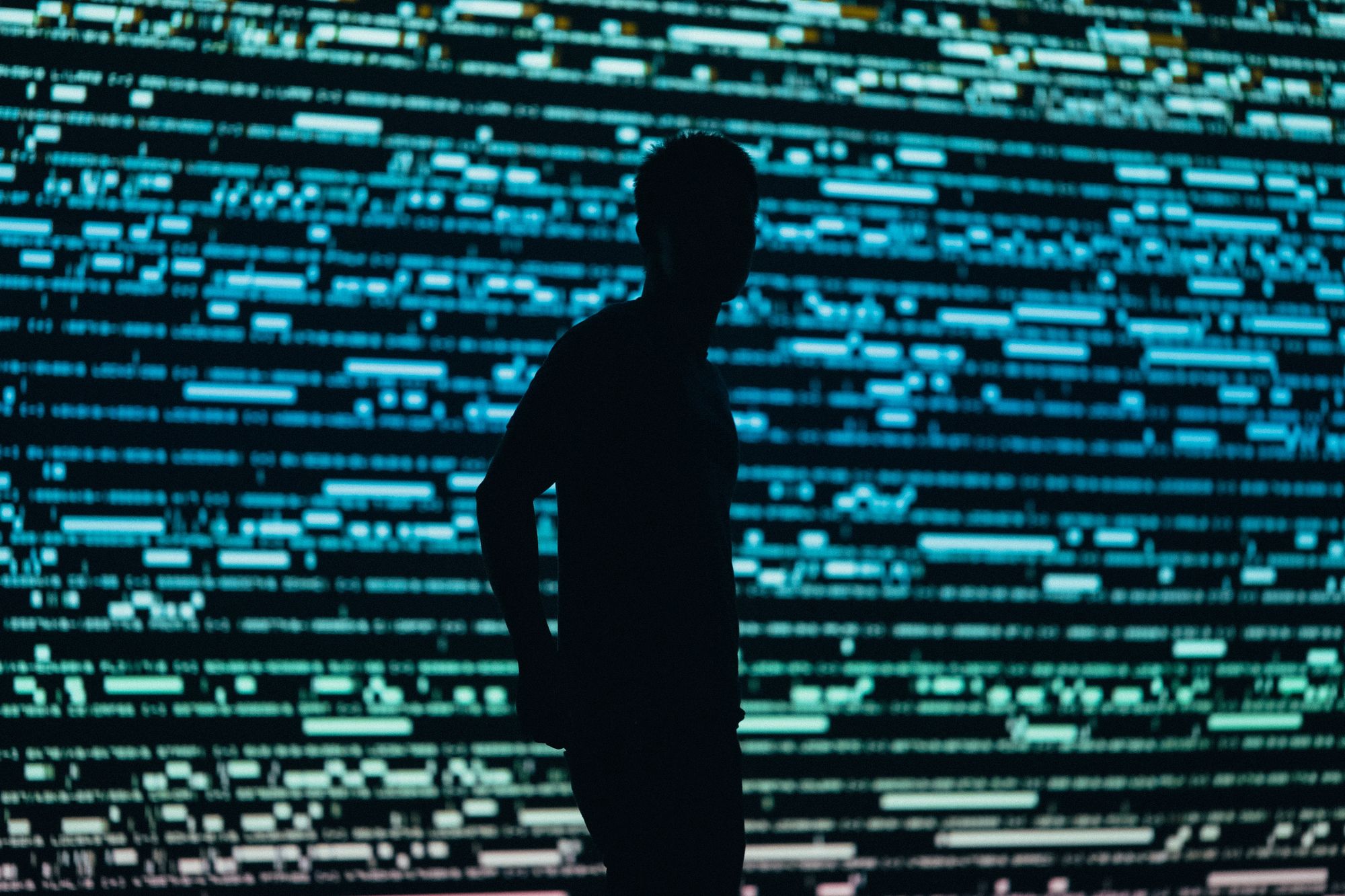 chris-yang-1tnS_BVy9Jk-unsplash (1).jpg