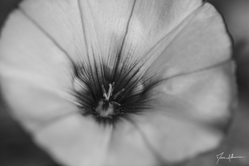 DSC_5655.jpg