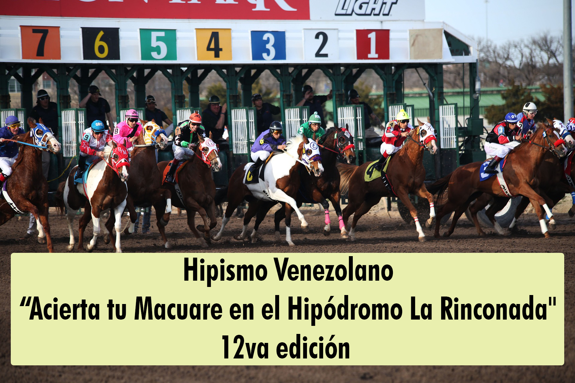 hipodromo concurso.png