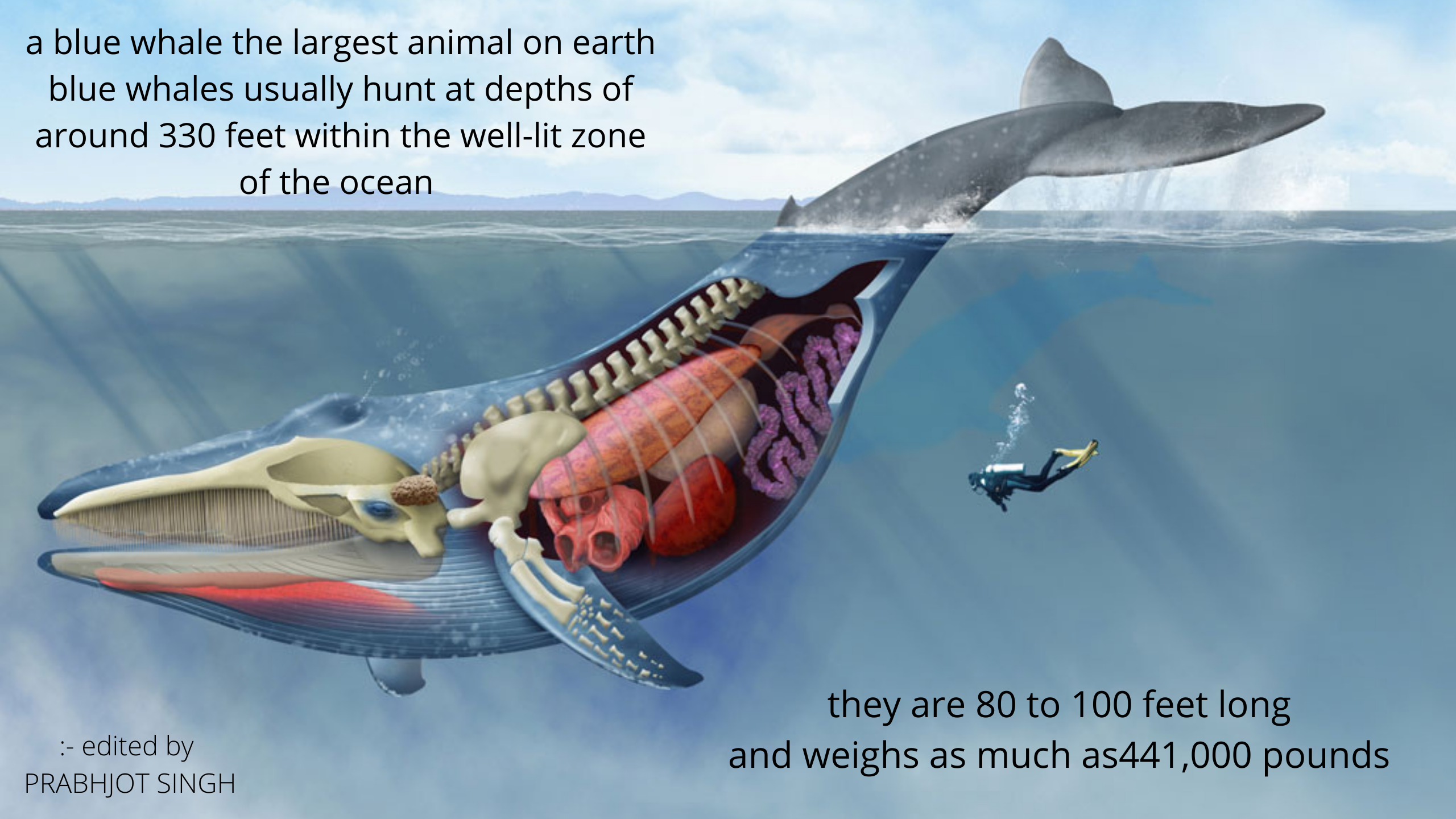 if he took the highest point on land and submerged it you would still have more than a mile between you in the deepest point in the oceans (1).png