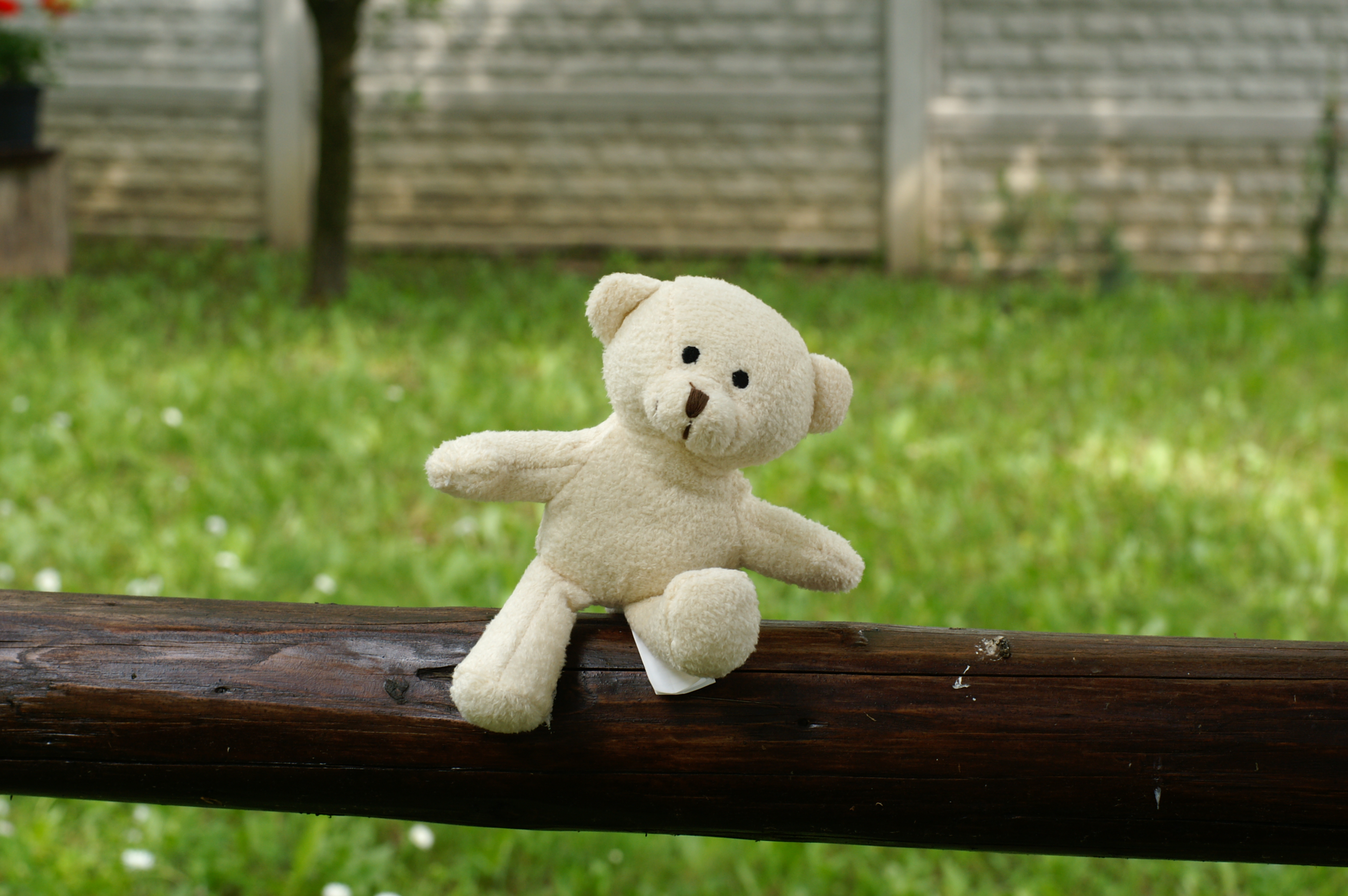 PICT2423.JPG