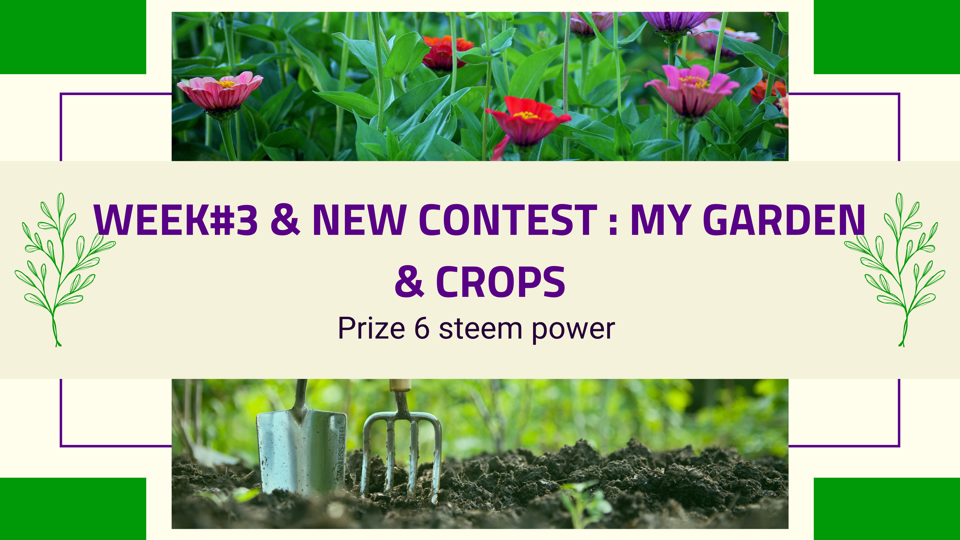 Contest my garden & ceops(1).png