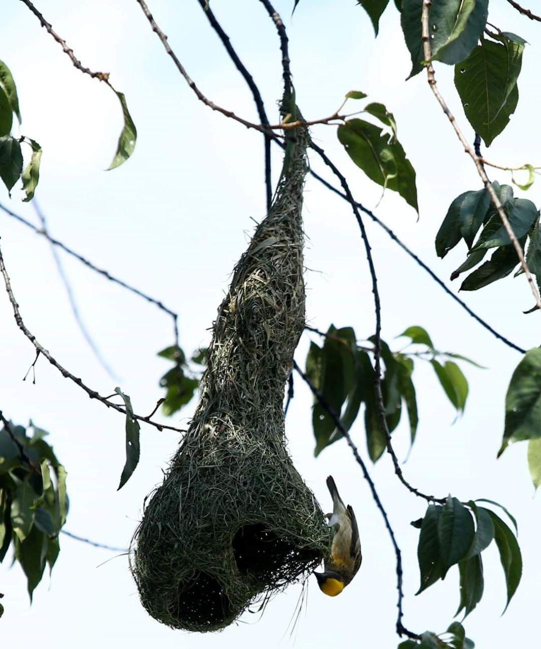 photo_2020-05-02_15-22-50 (2).jpg