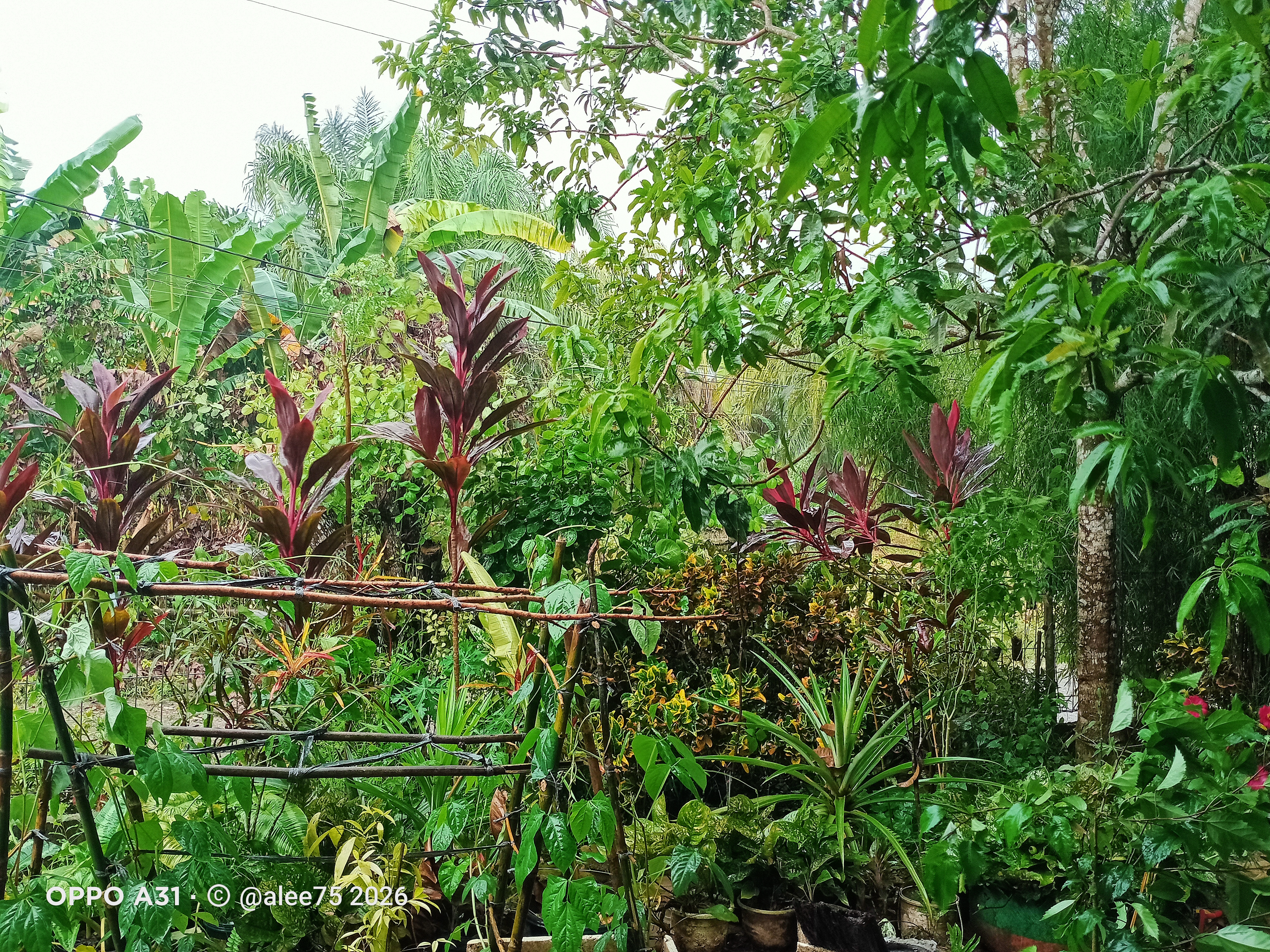 IMG20260919165118.jpg