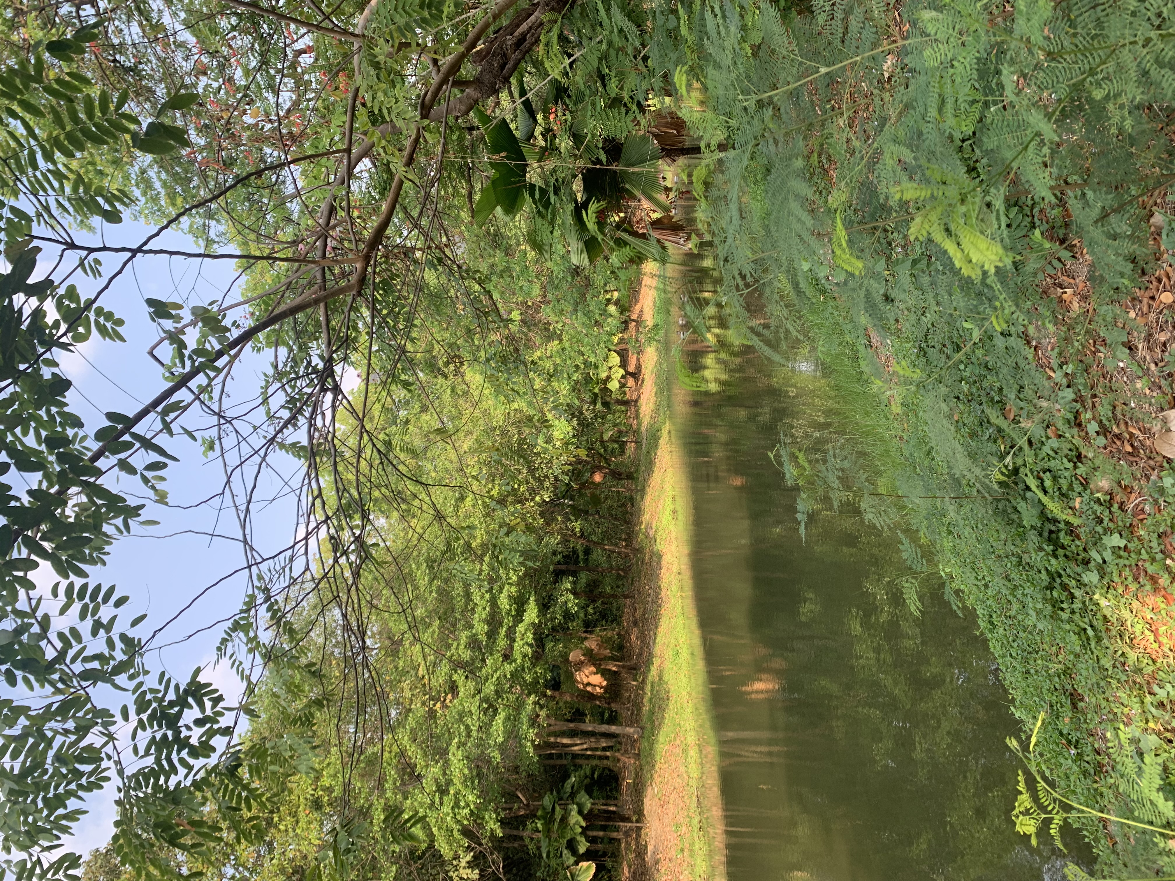 Queen Sirikit Park102.jpg