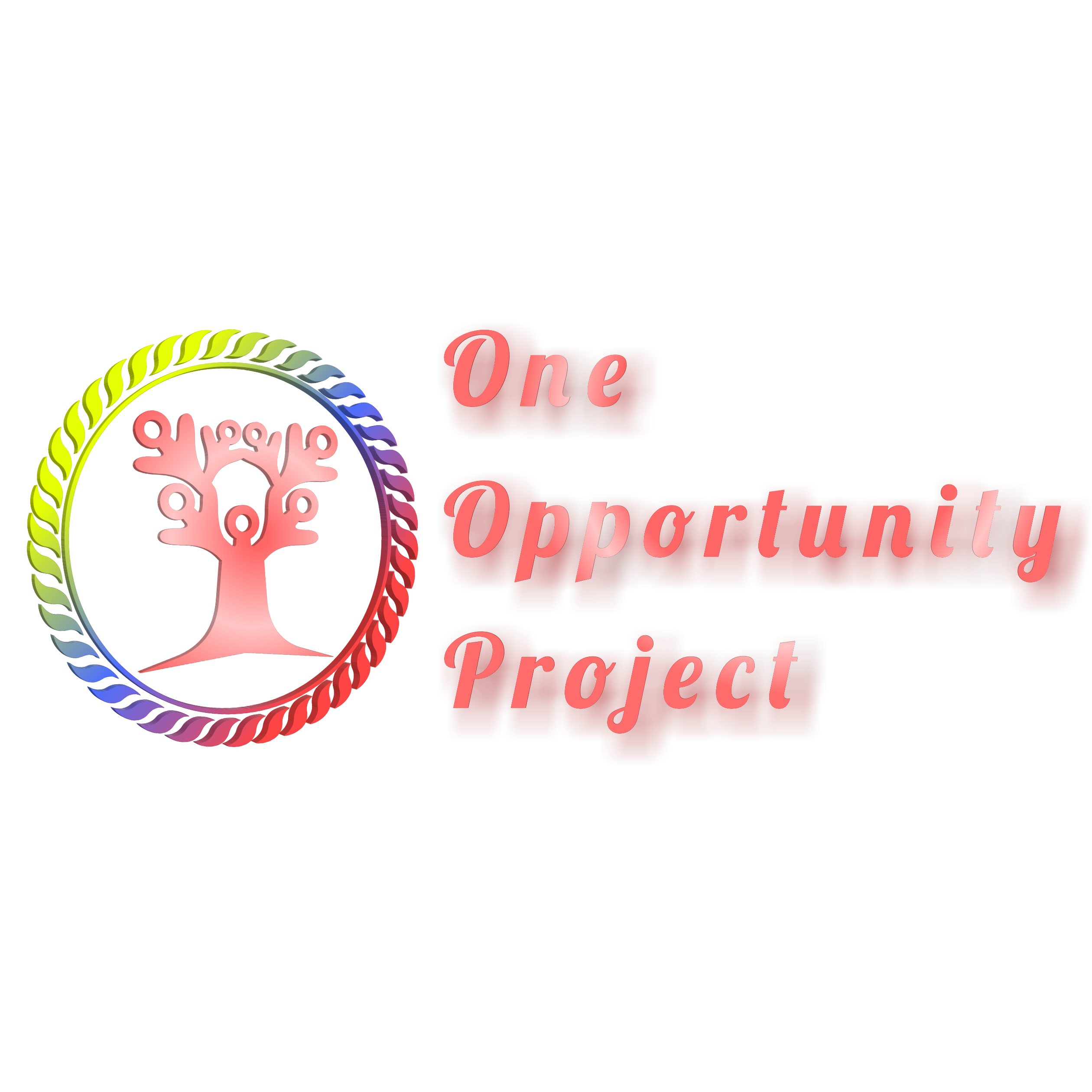 one opportunity project.png
