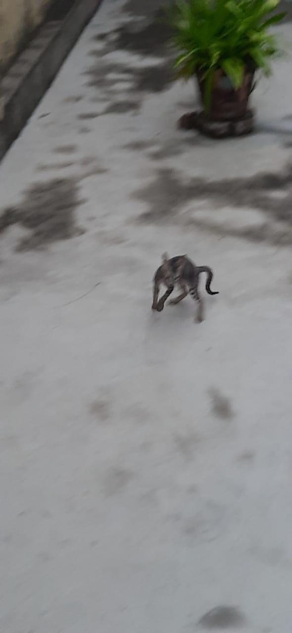 IMG-20211008-WA0006.jpg