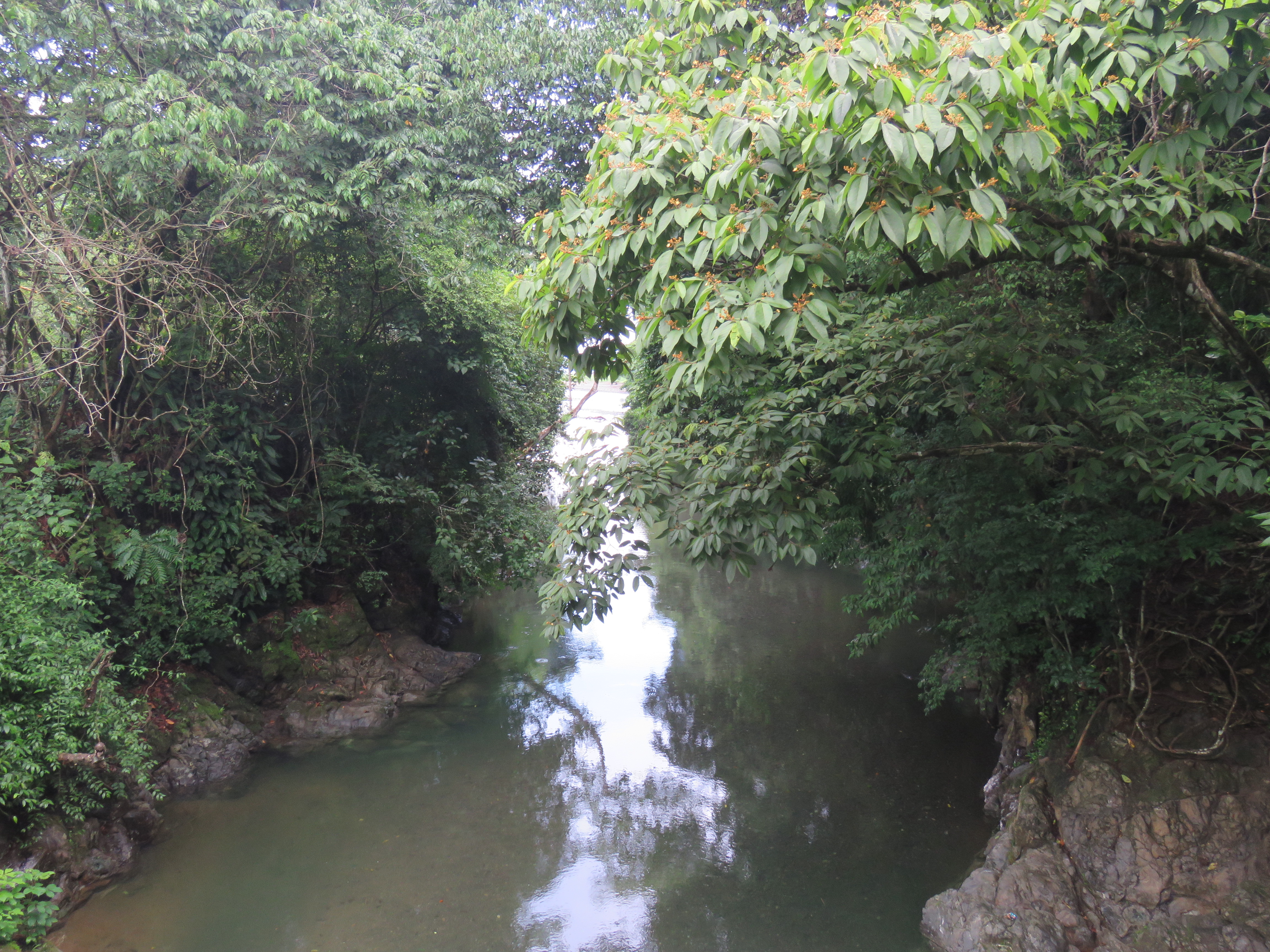 IMG_1844.jpg