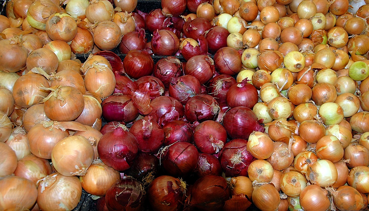 onions-1592879_1280.jpg