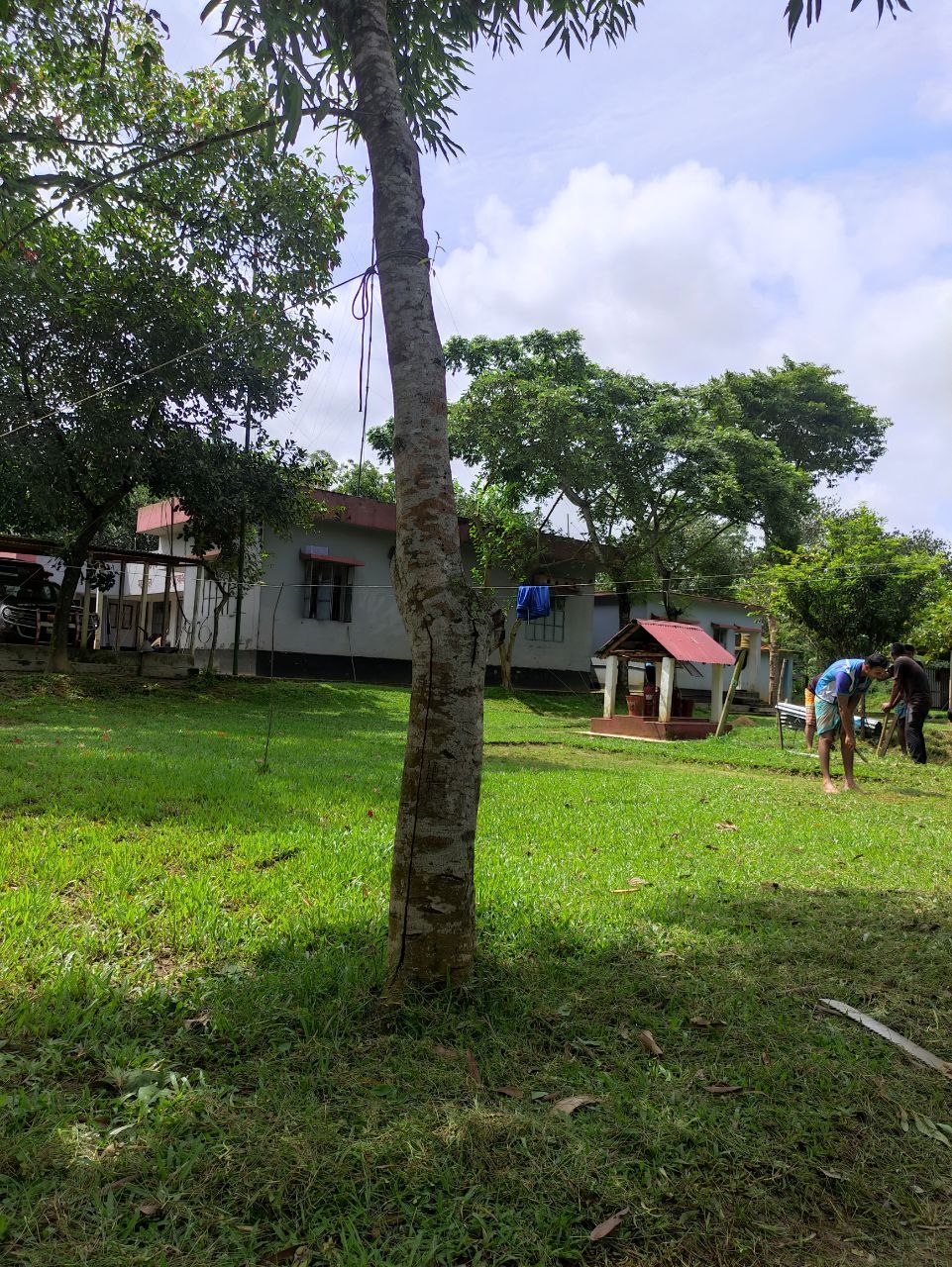 IMG_20260803_150237_254.jpg