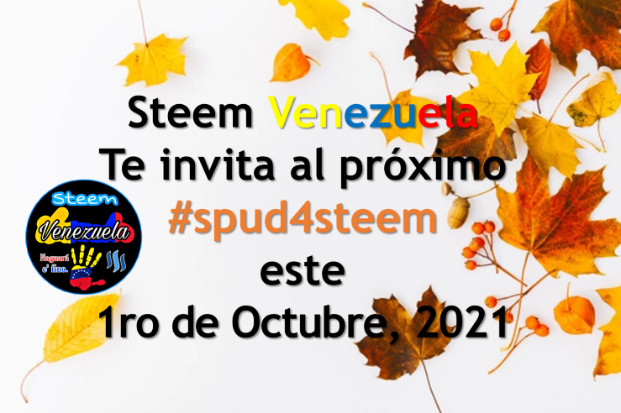 portadasv280921.png