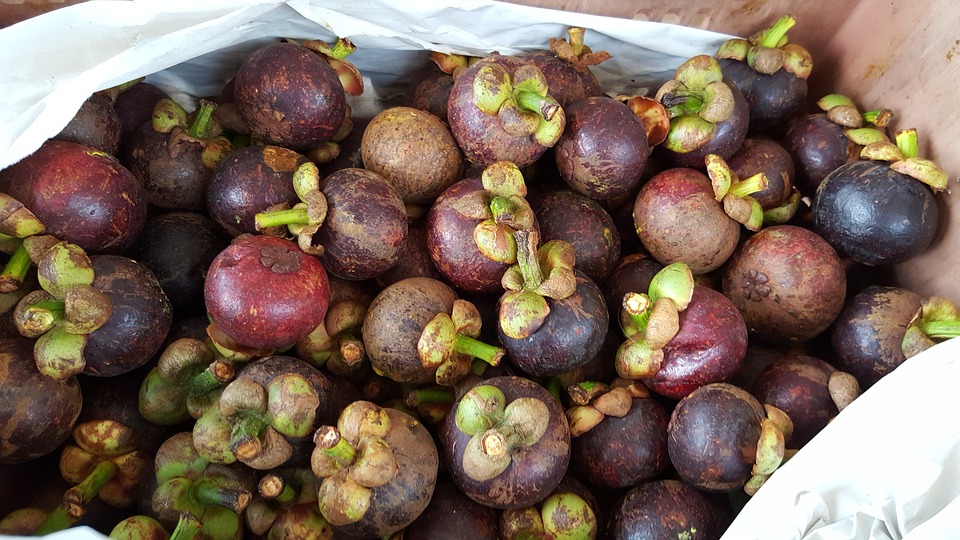 fruits-2637541_960_720.jpg