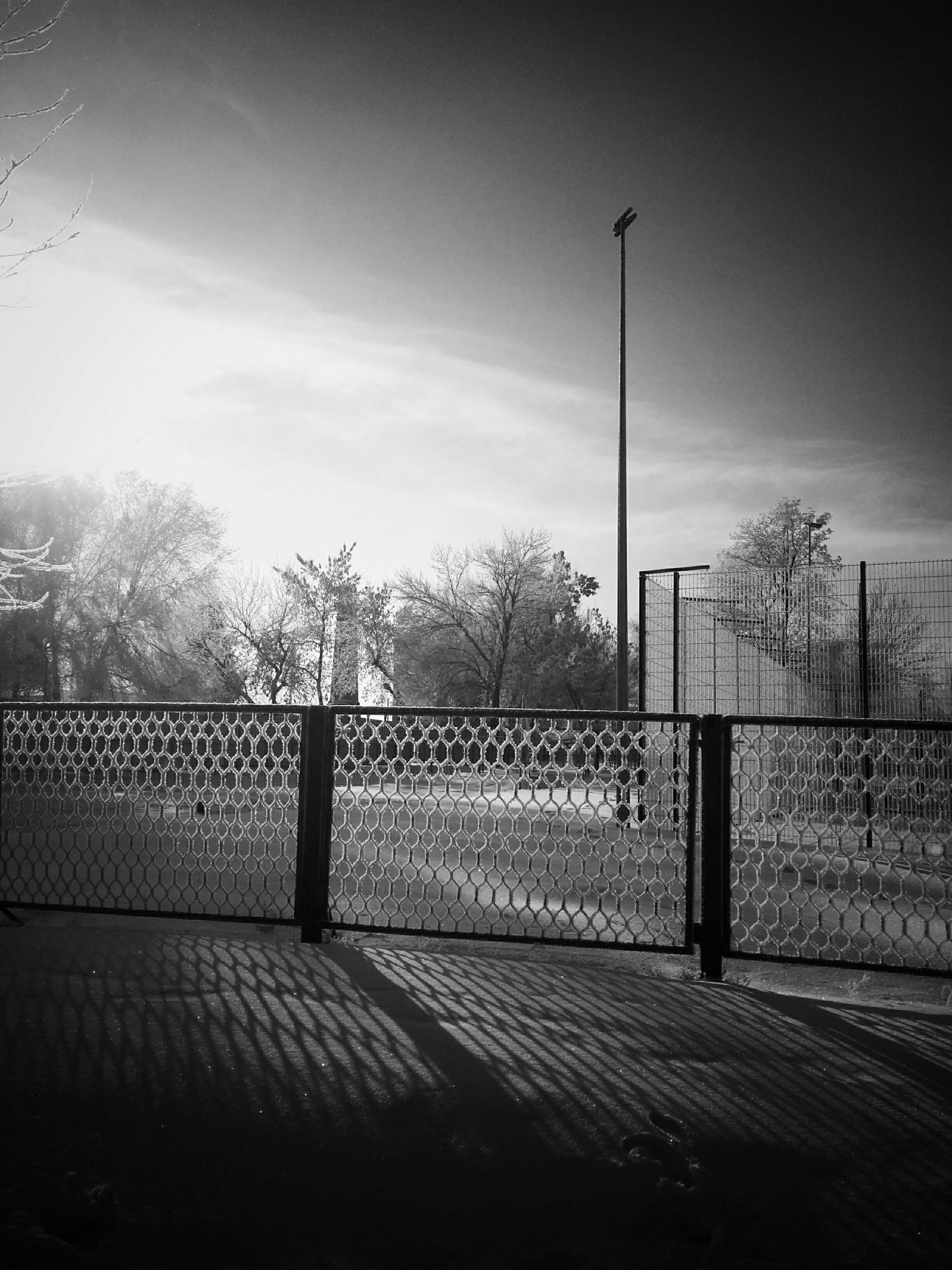 IMG_20190122_095026-01.jpeg
