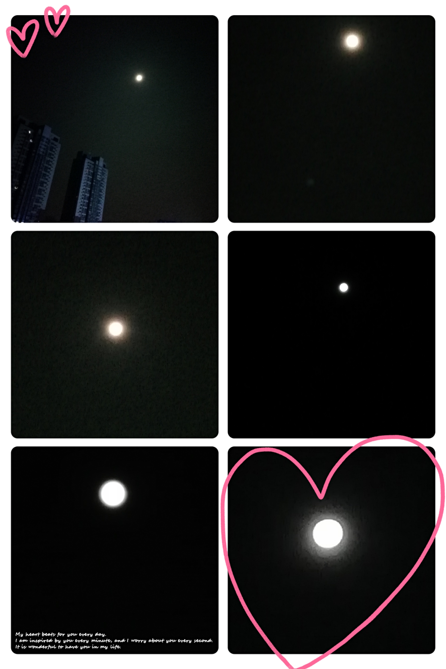 🌕圆月当空照✨惊醒梦中人😌