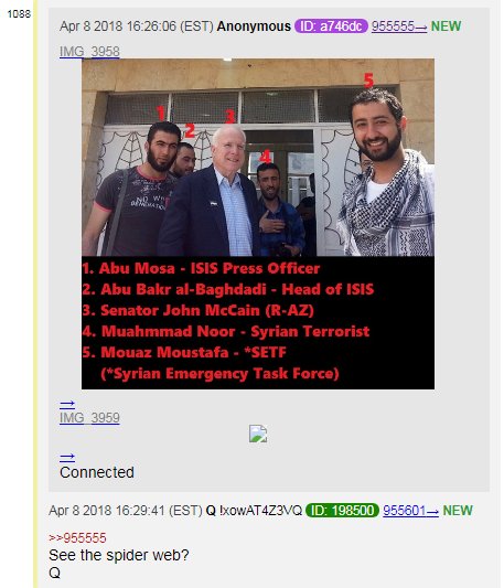 McCain.jpg