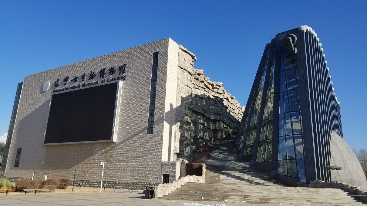 辽宁古生物博物馆：外拍