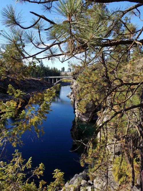 20180928_154500_9.jpg