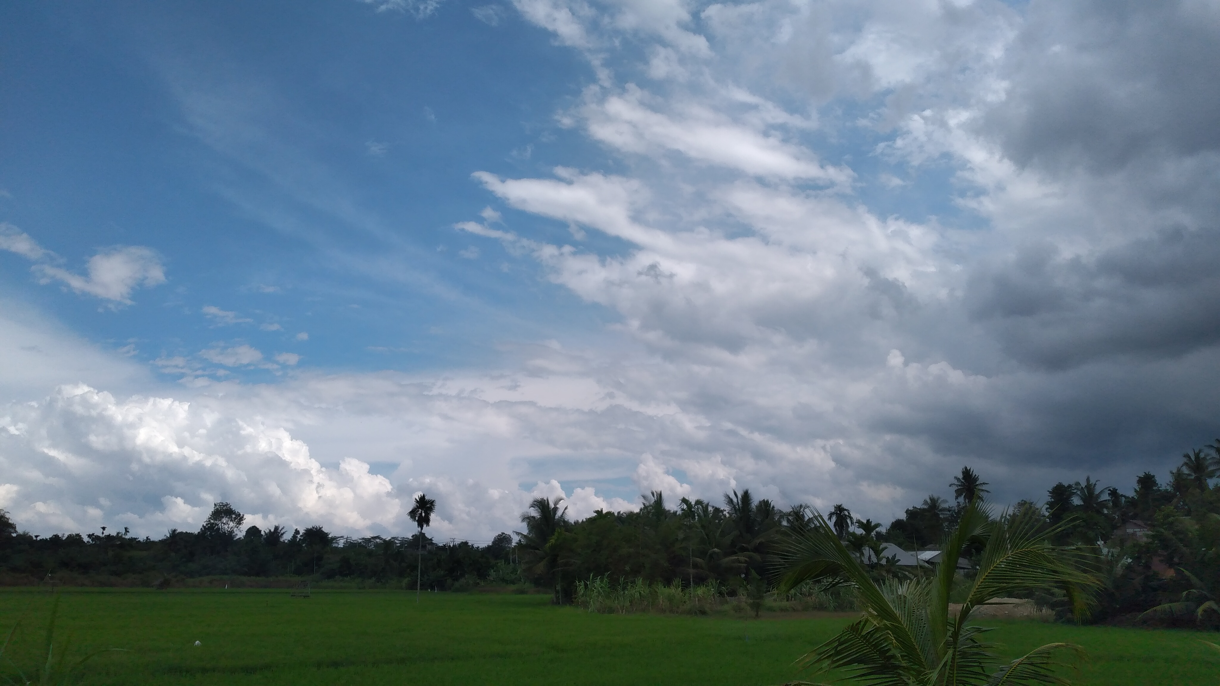 20220926_141658.jpg