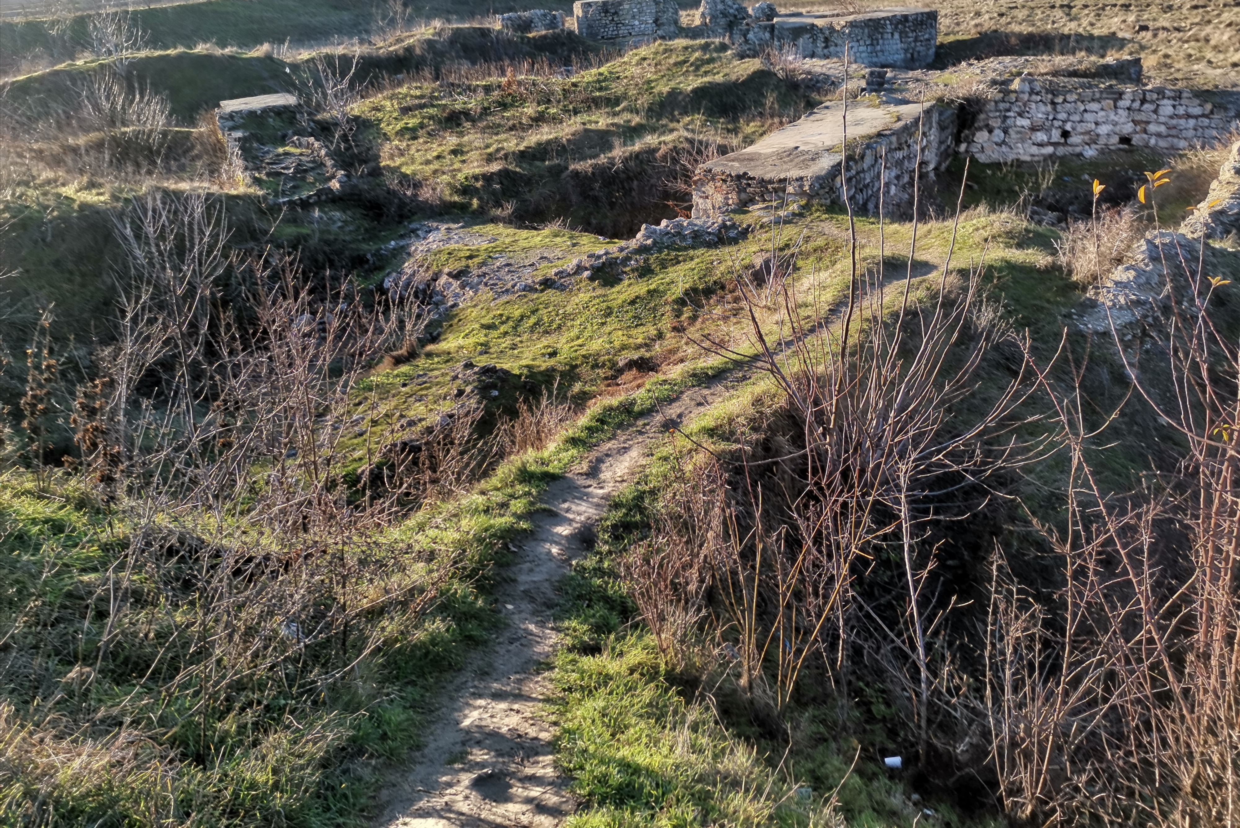 Cetatea lui Mircea cel Batran.jpg