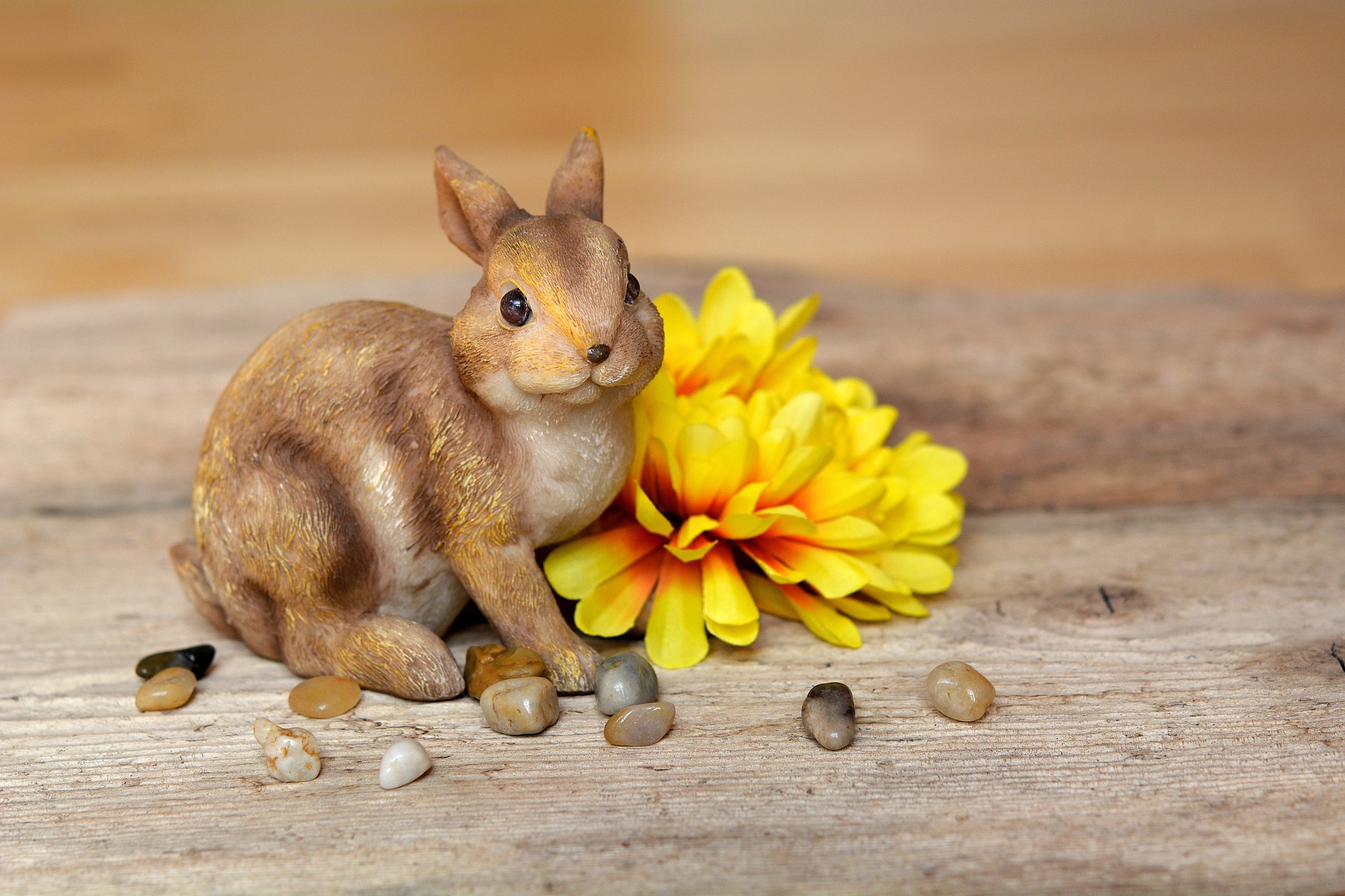 hare-682672_1920.jpg