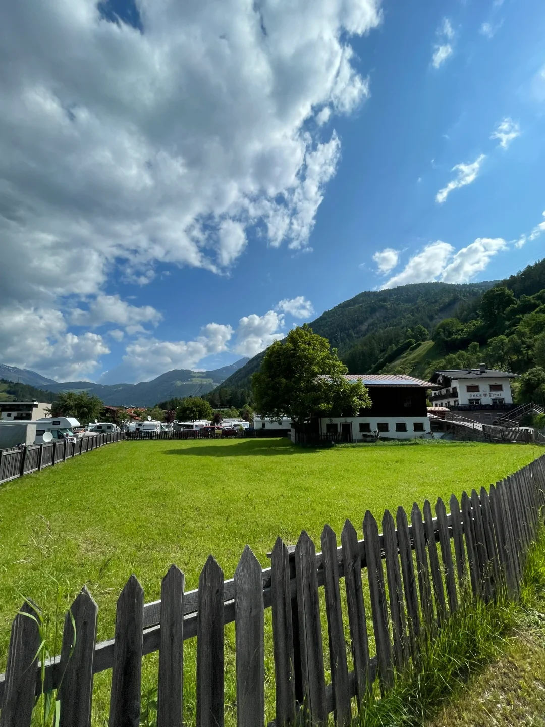 294.webp