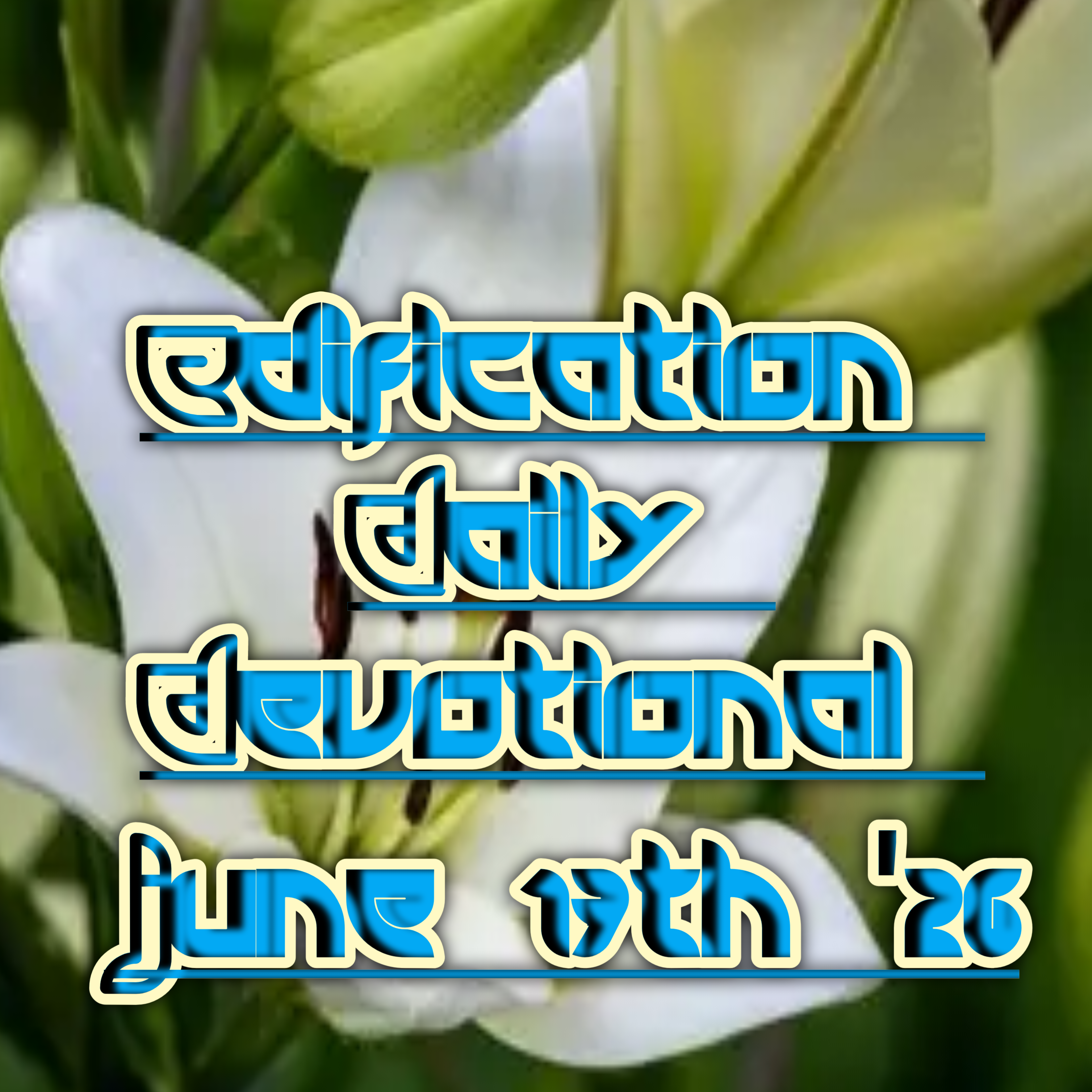 20260617_091023.png