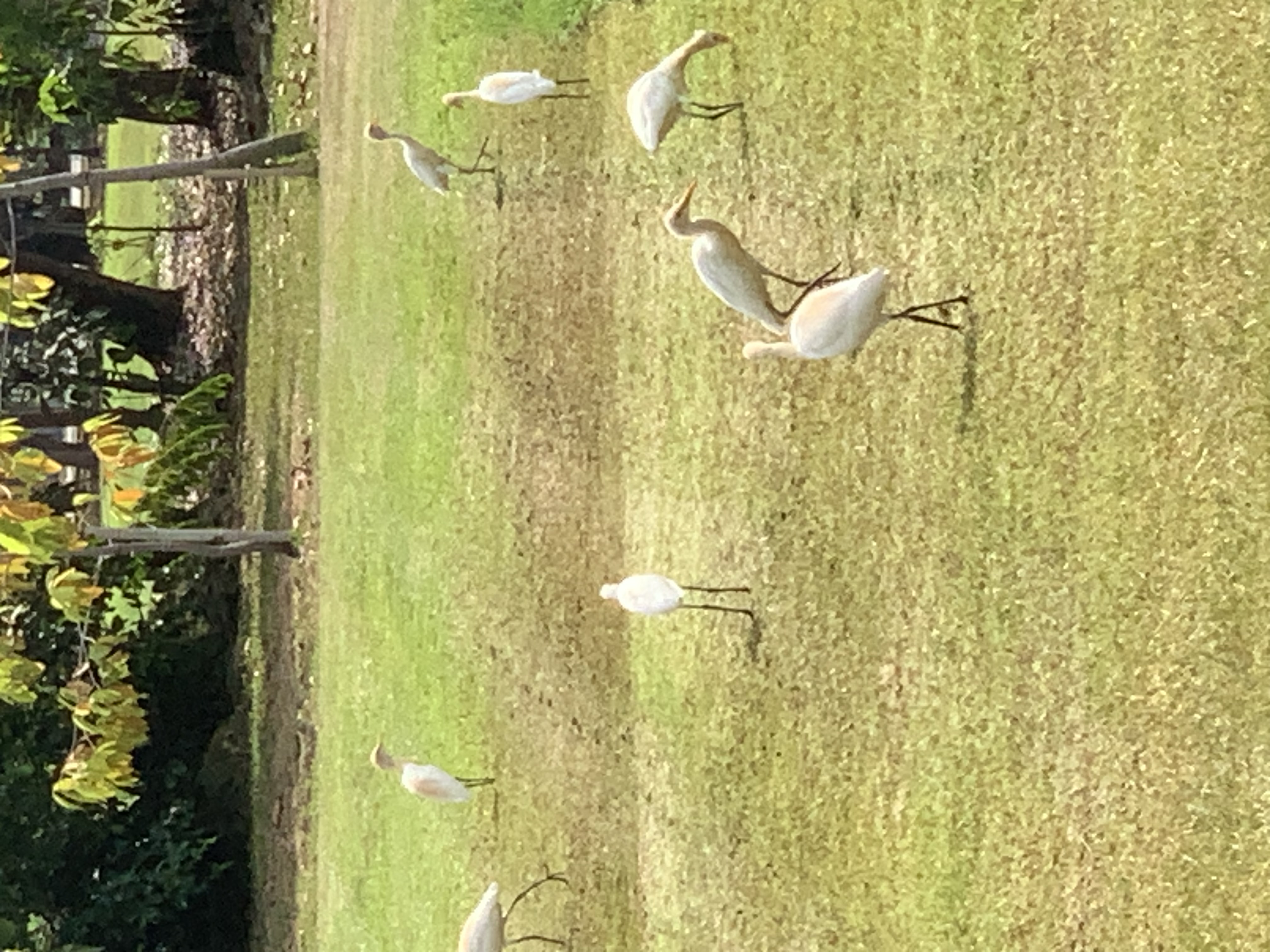birdwatching spots19.jpg