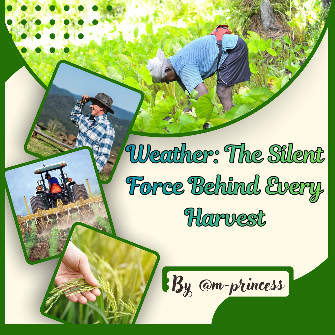 Green and Beige Minimalist Agriculture Consultant Services Instagram Post_20260423_192215_0000.png