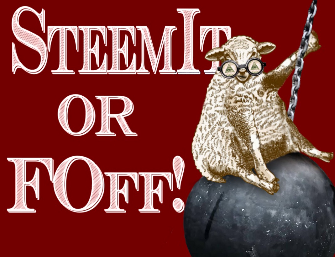 STEEMIT OR FOFF ewe.jpg