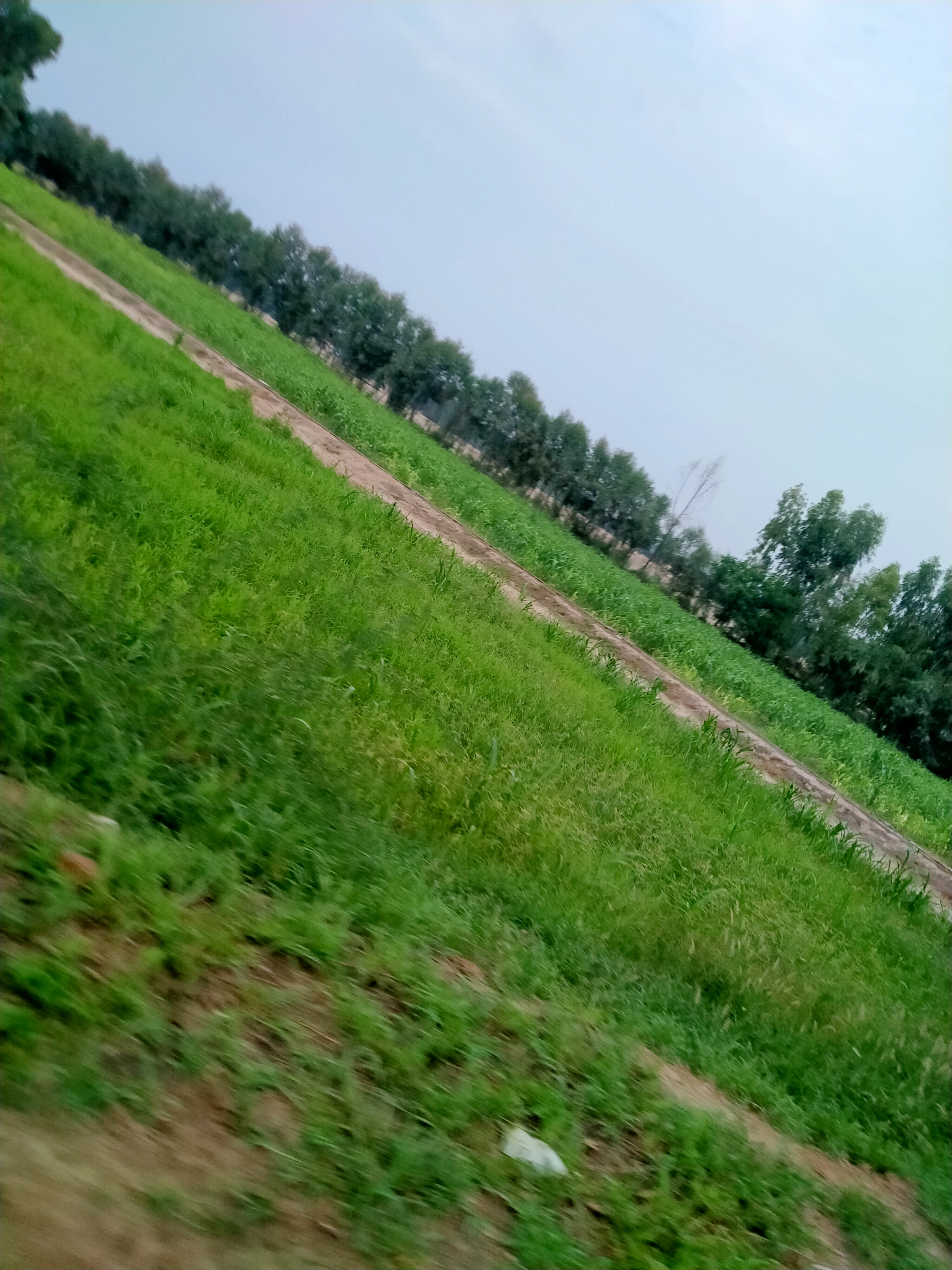 IMG20220725190939.jpg